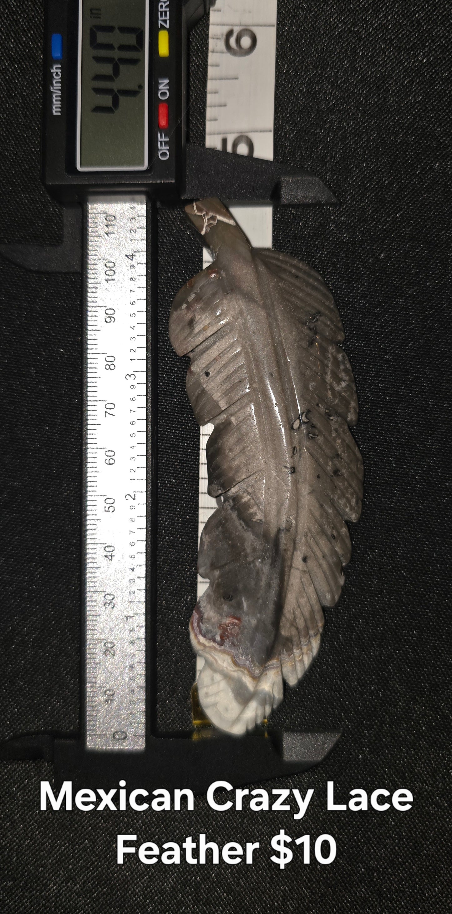 Mexican Crazy Lace Feather