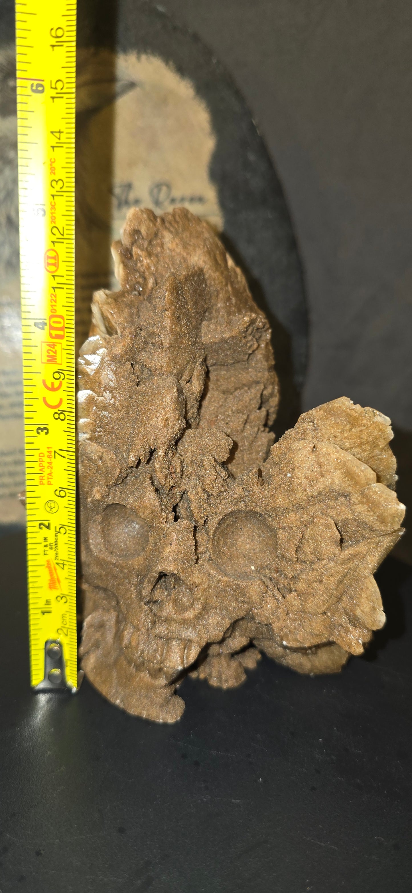 S0223 Desert Rose Freeform Skull