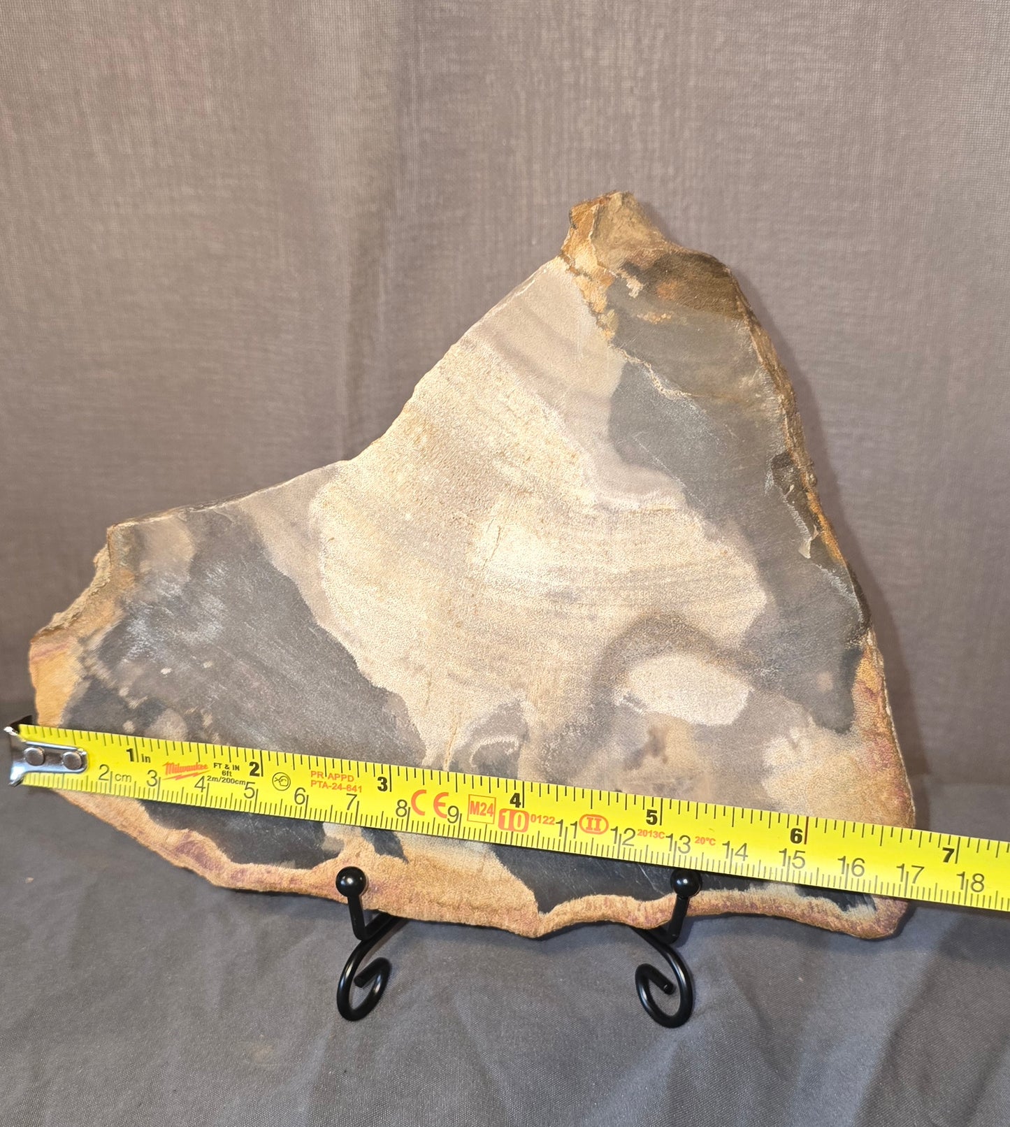 S0241 Black Petrified Wood Slab