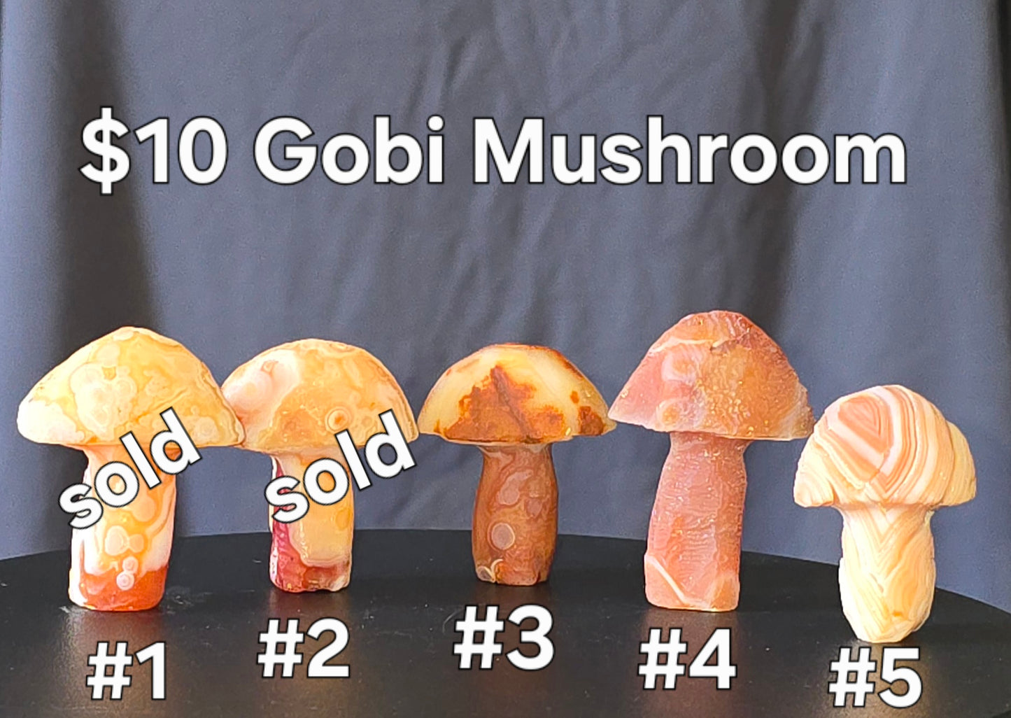 S0436 Gobi Agate Mushroom