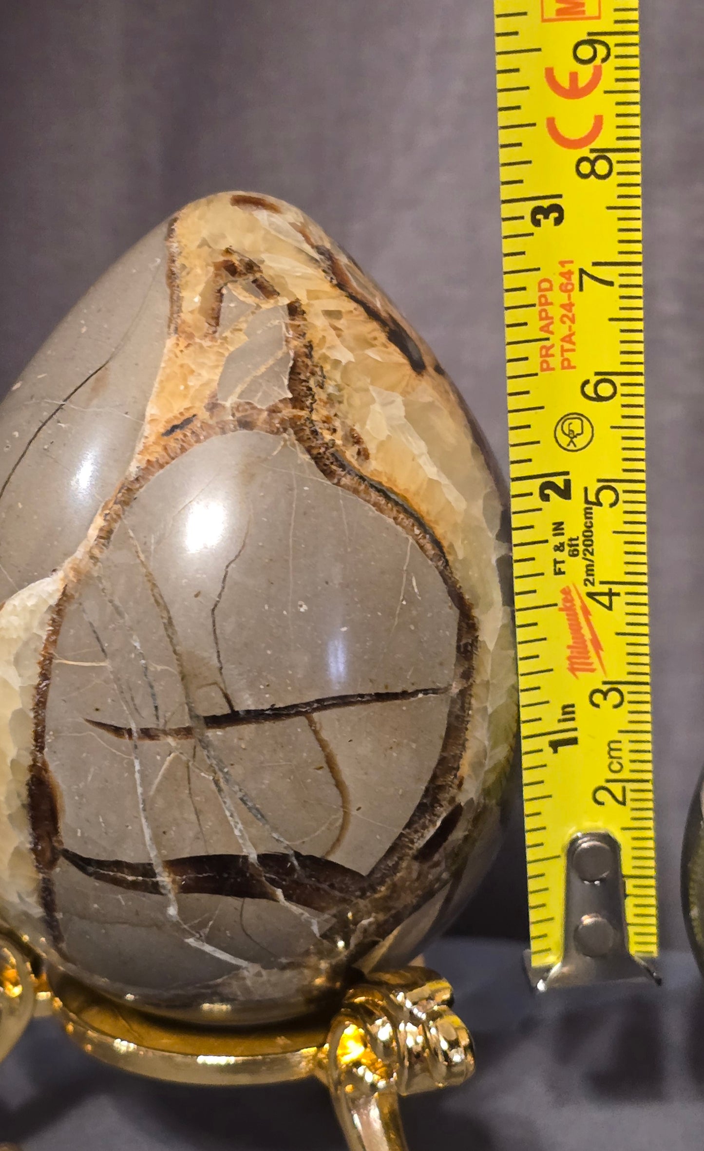 S0376 Septarian Egg