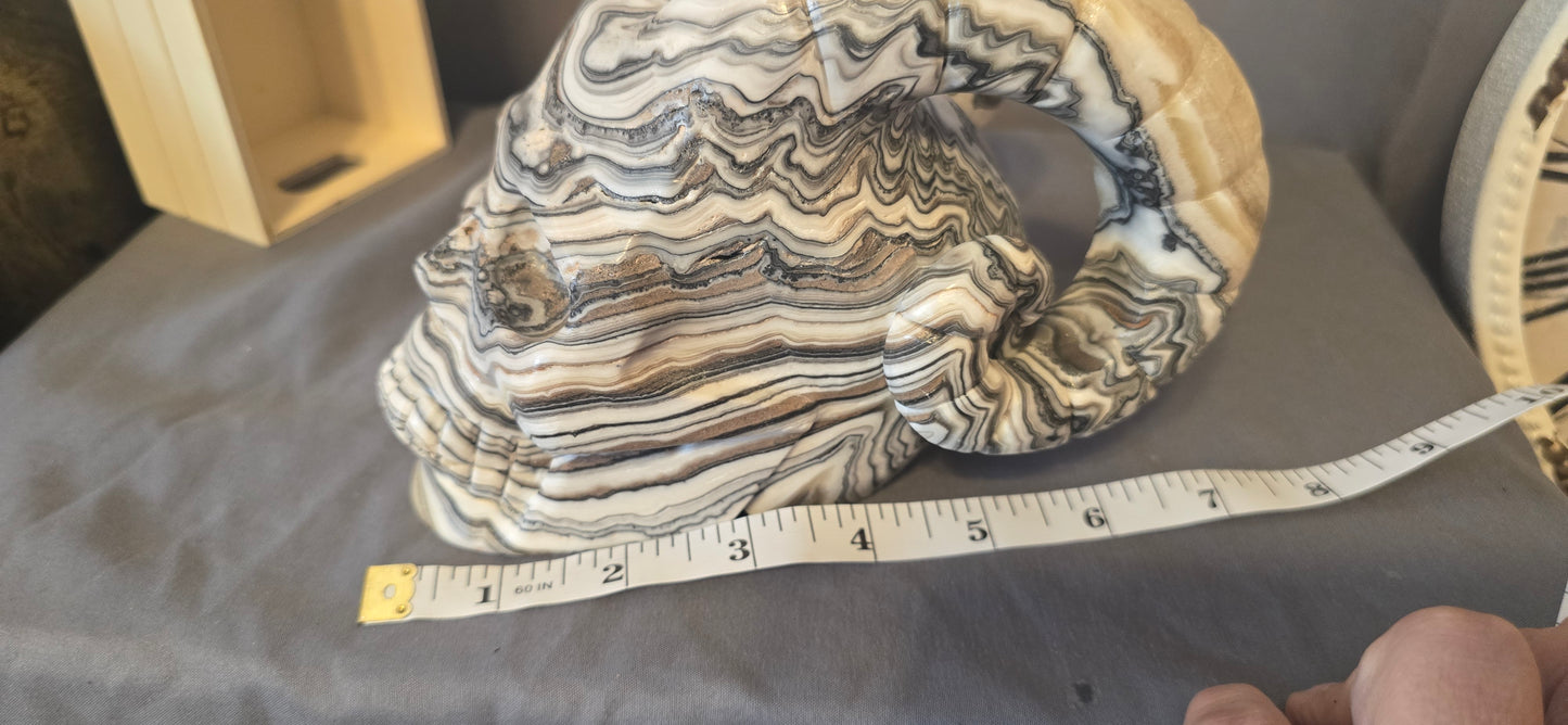 Zebra Calcite Horned Skull