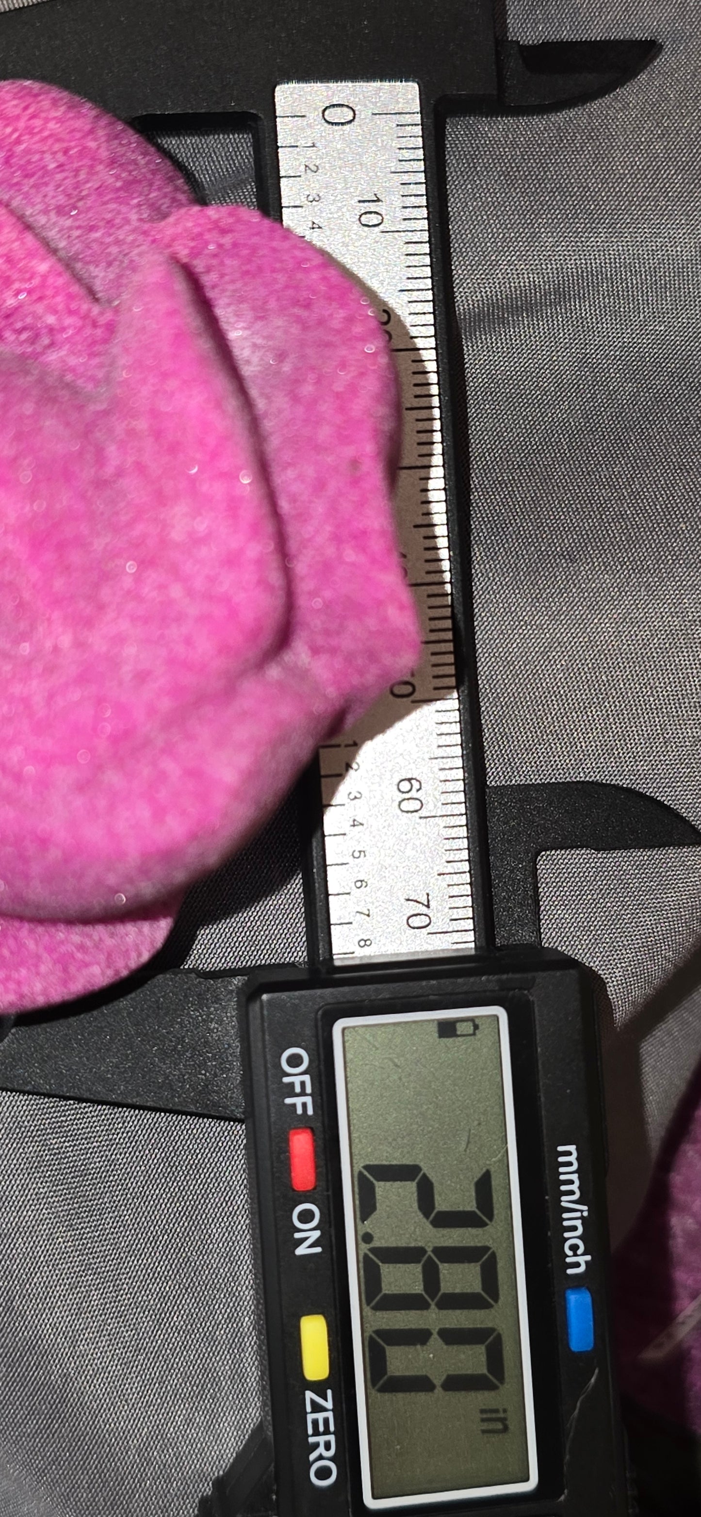 Honeycomb Ruby Rose & Stand