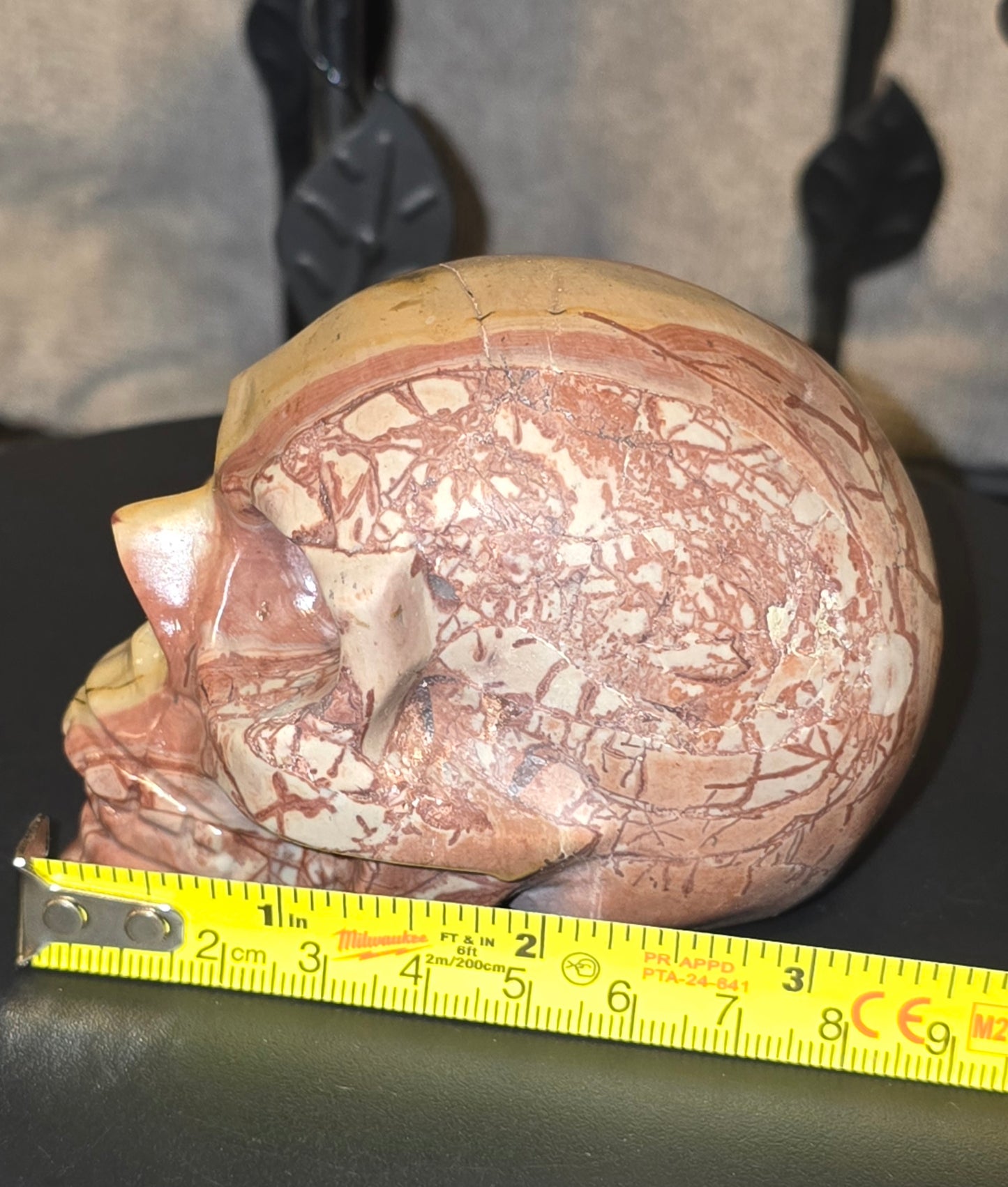 S0065 Picture Jasper Skull