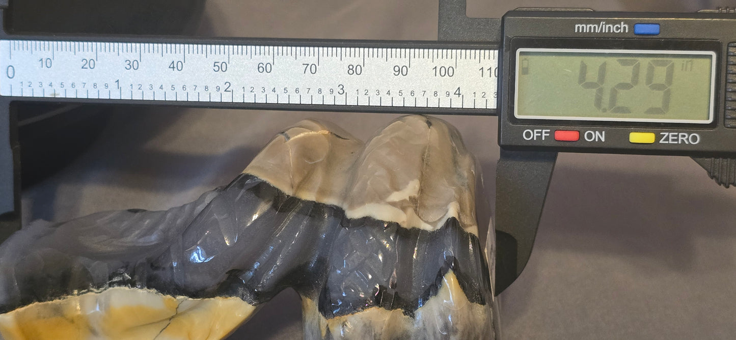 Volcanic Agate Cobra