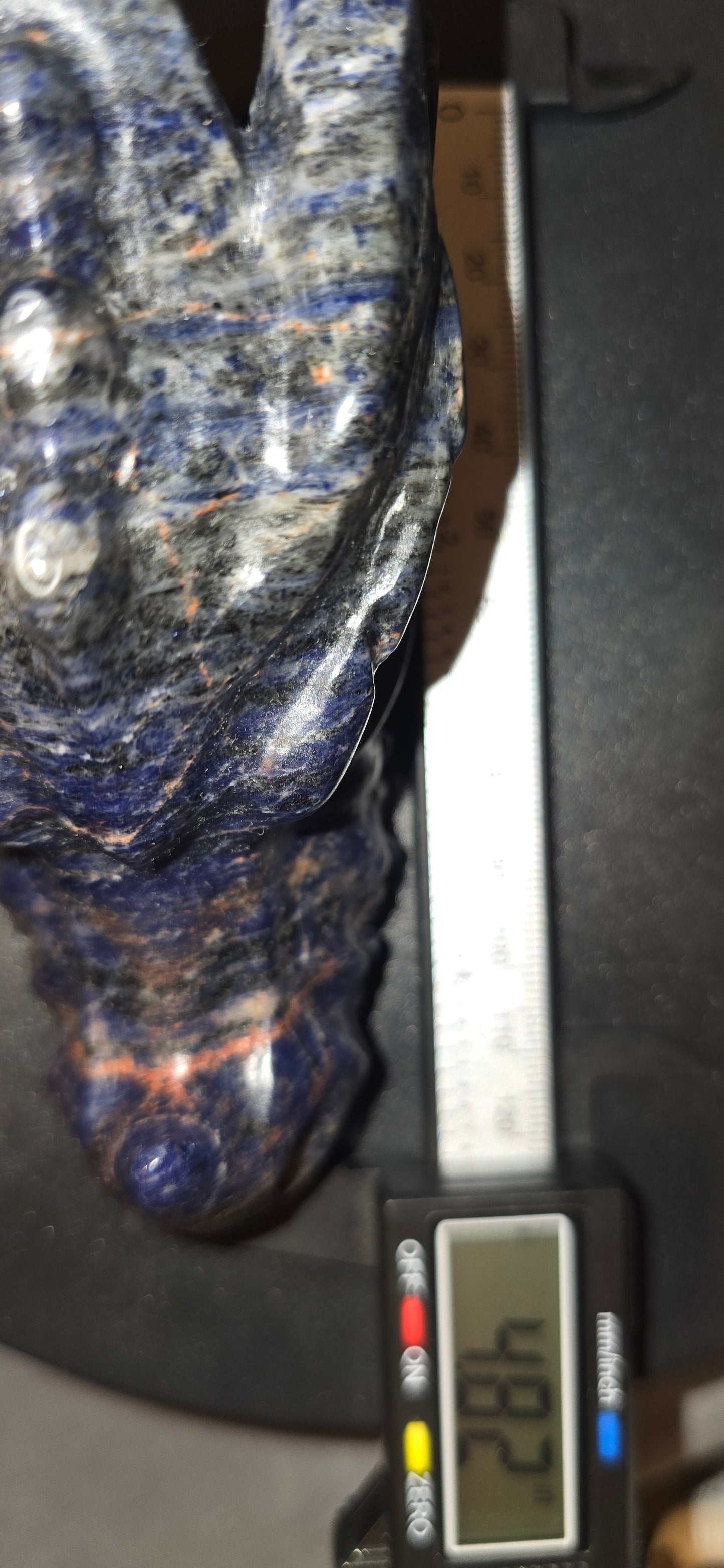 Sodalite Dragon Head