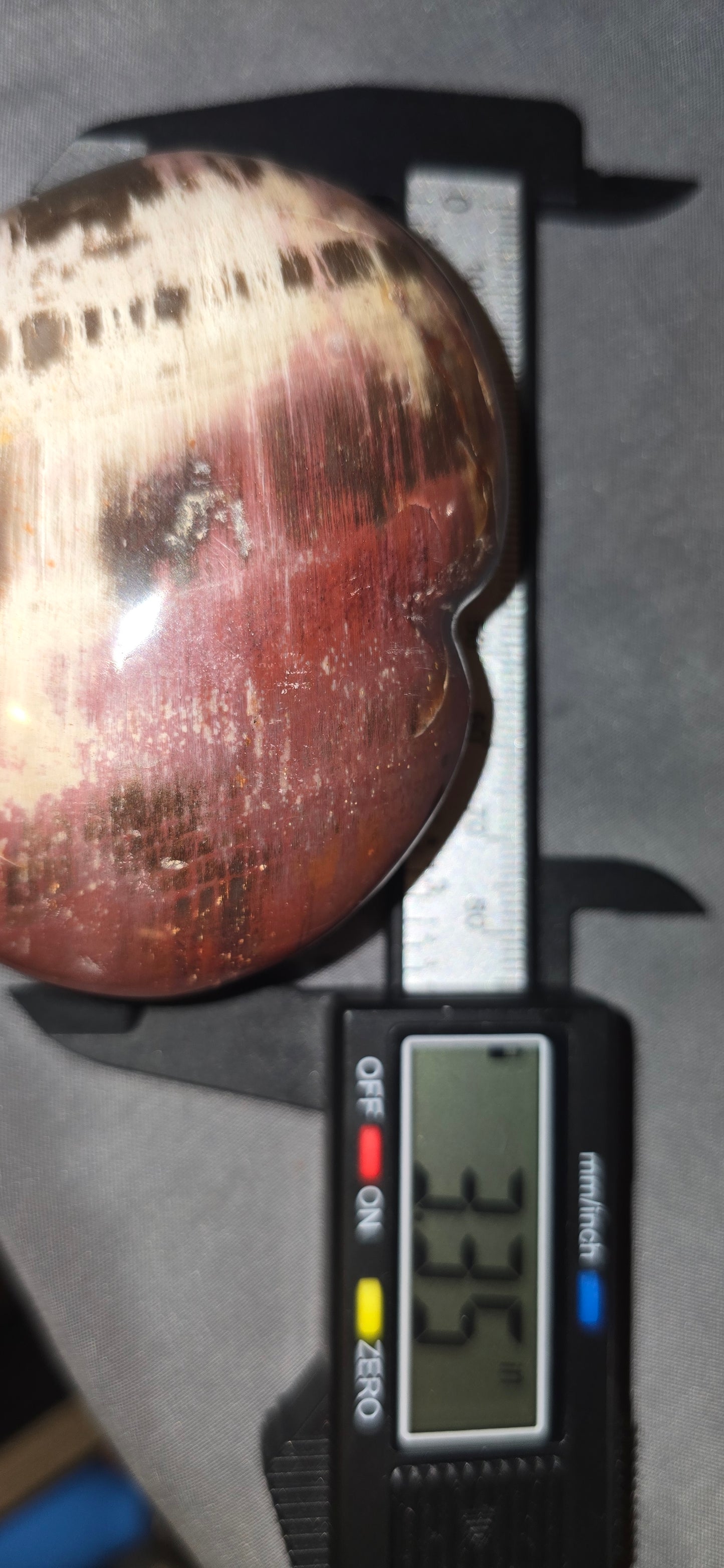 Petrified Wood Heart