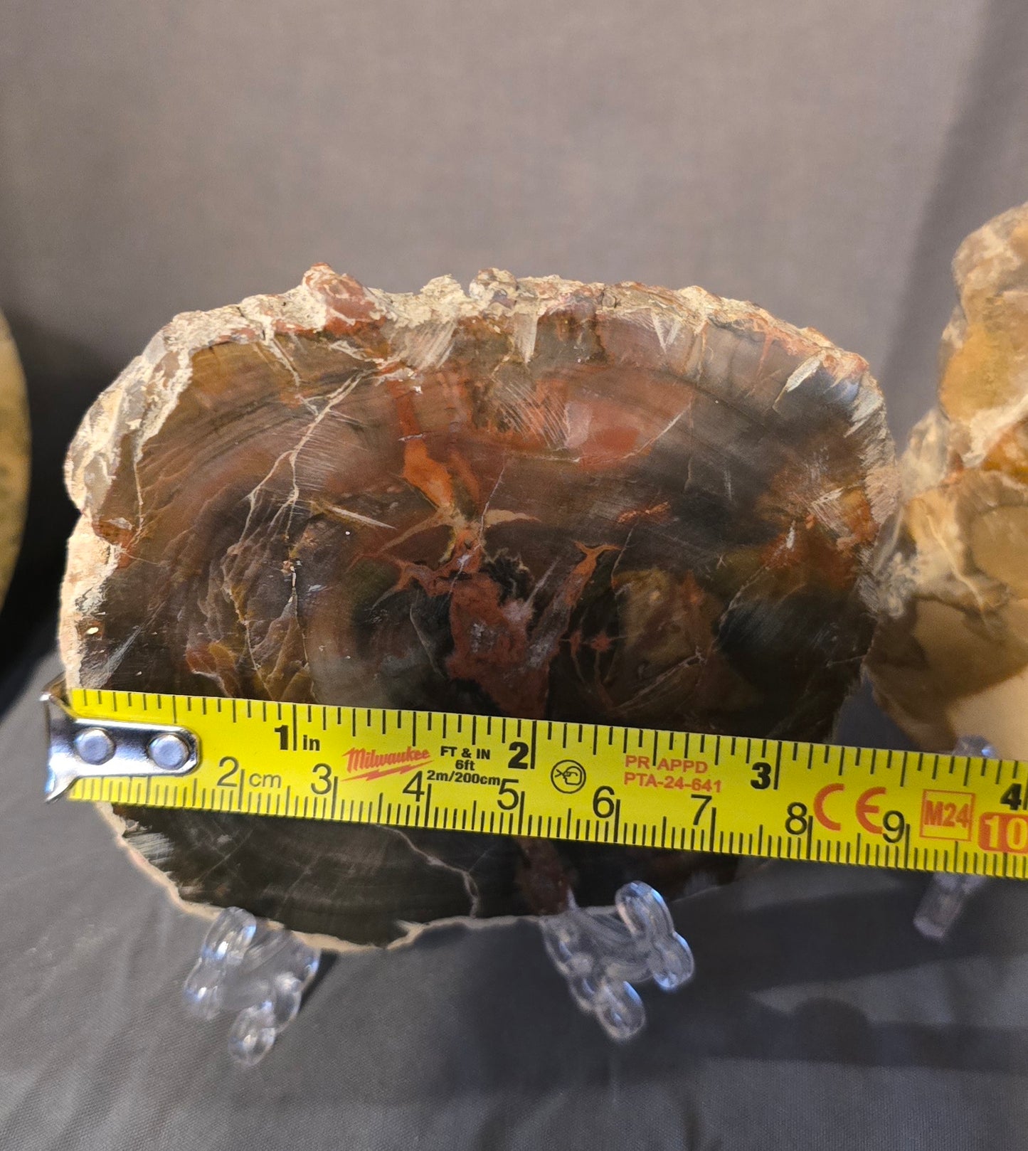 S0358 Petrified Wood Slab