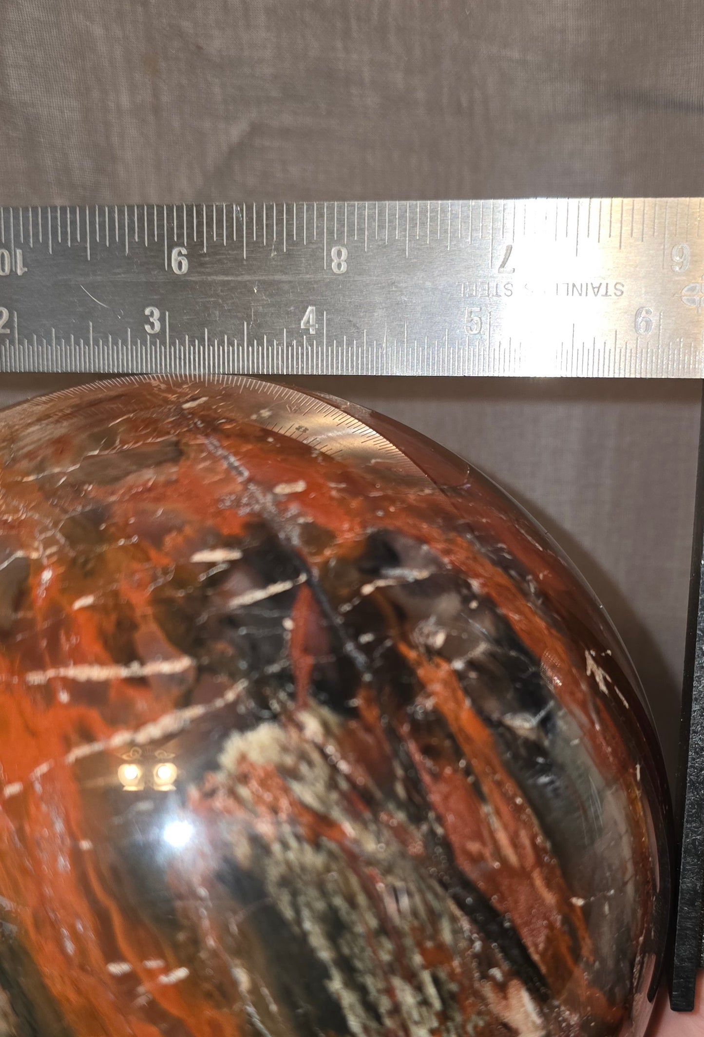 S0322 Petrified Wood Sphere