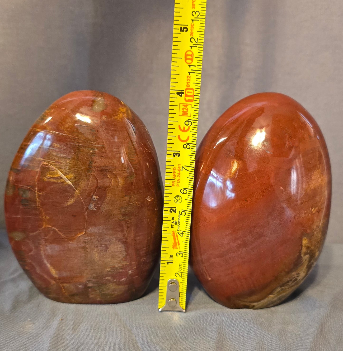 S0346 Petrified Wood Freeform