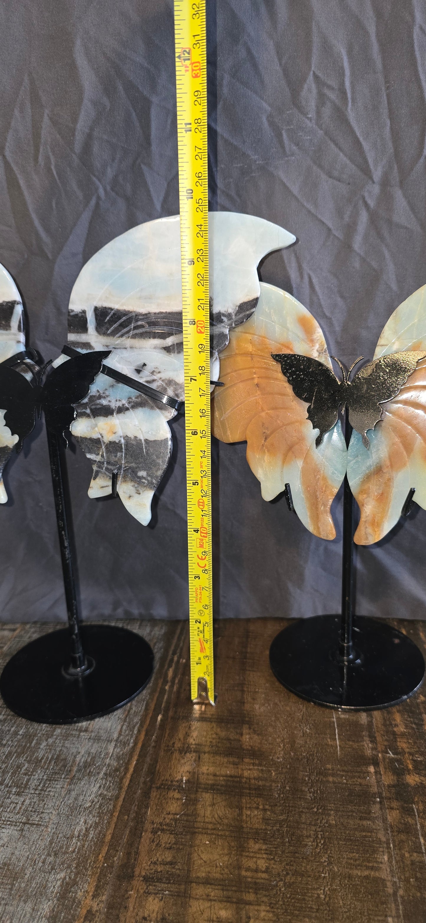 S0112 Caribbean Calcite Butterfly