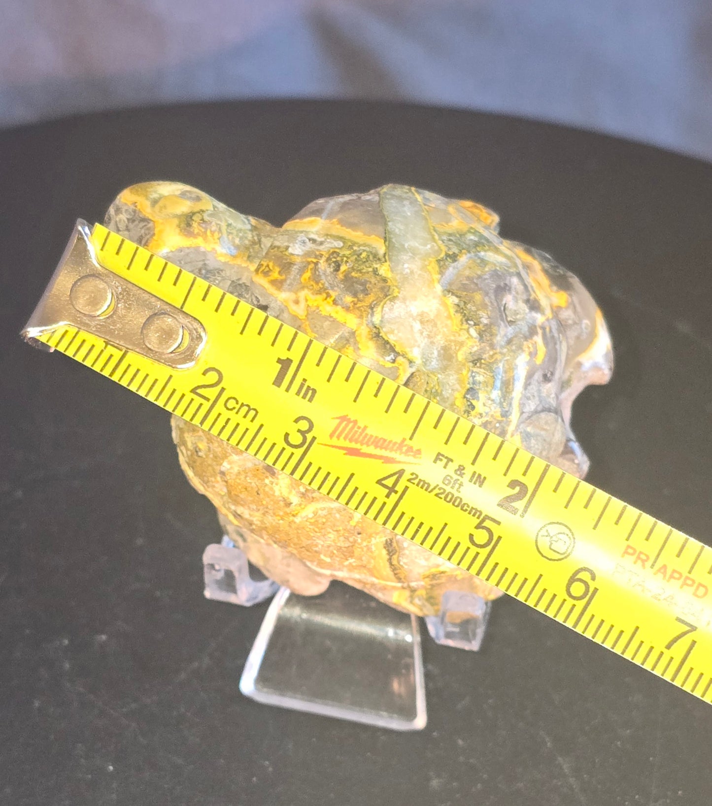 S0264 Bumblebee Jasper Turtle