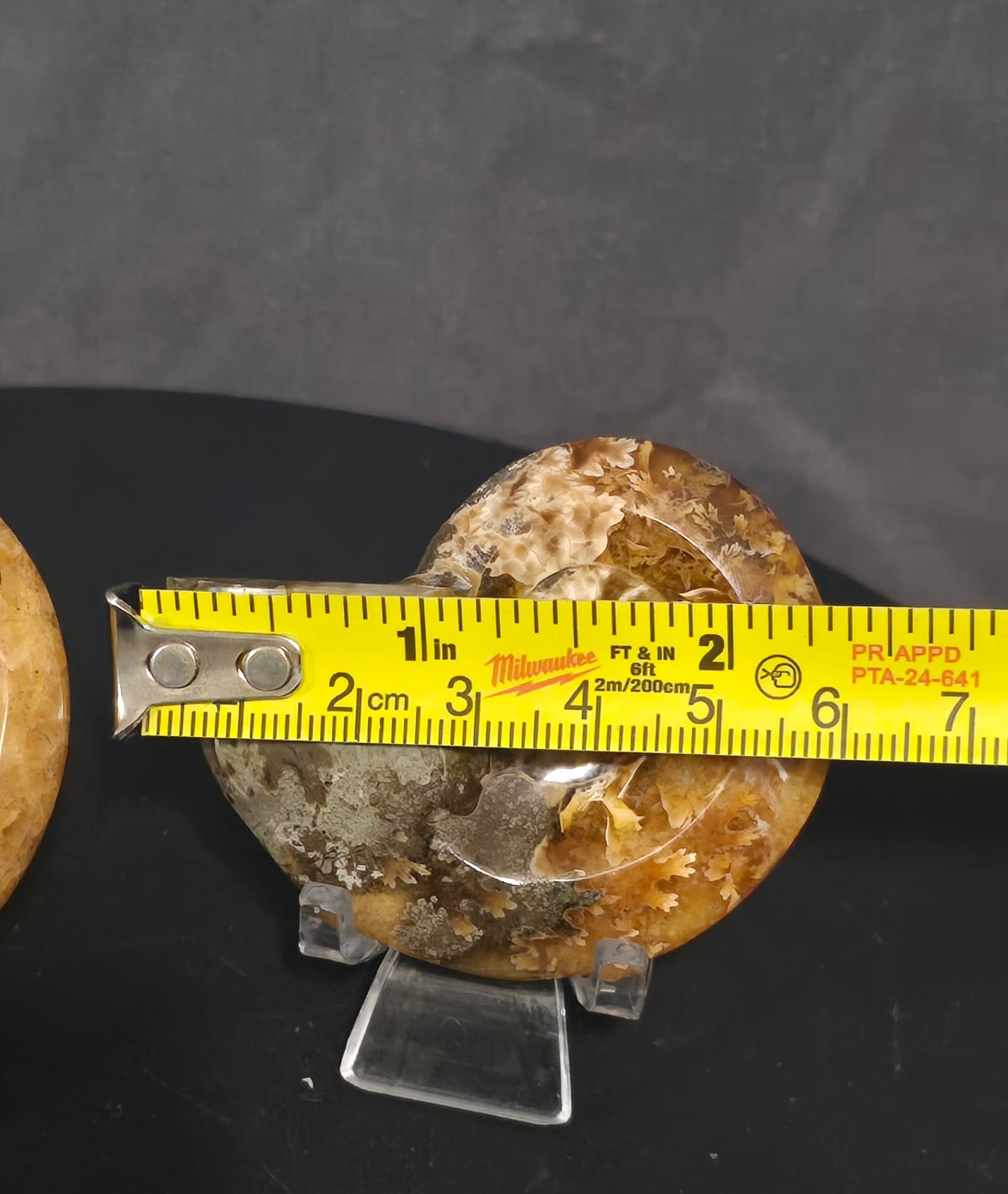 S0243 Ammonite "Dish"