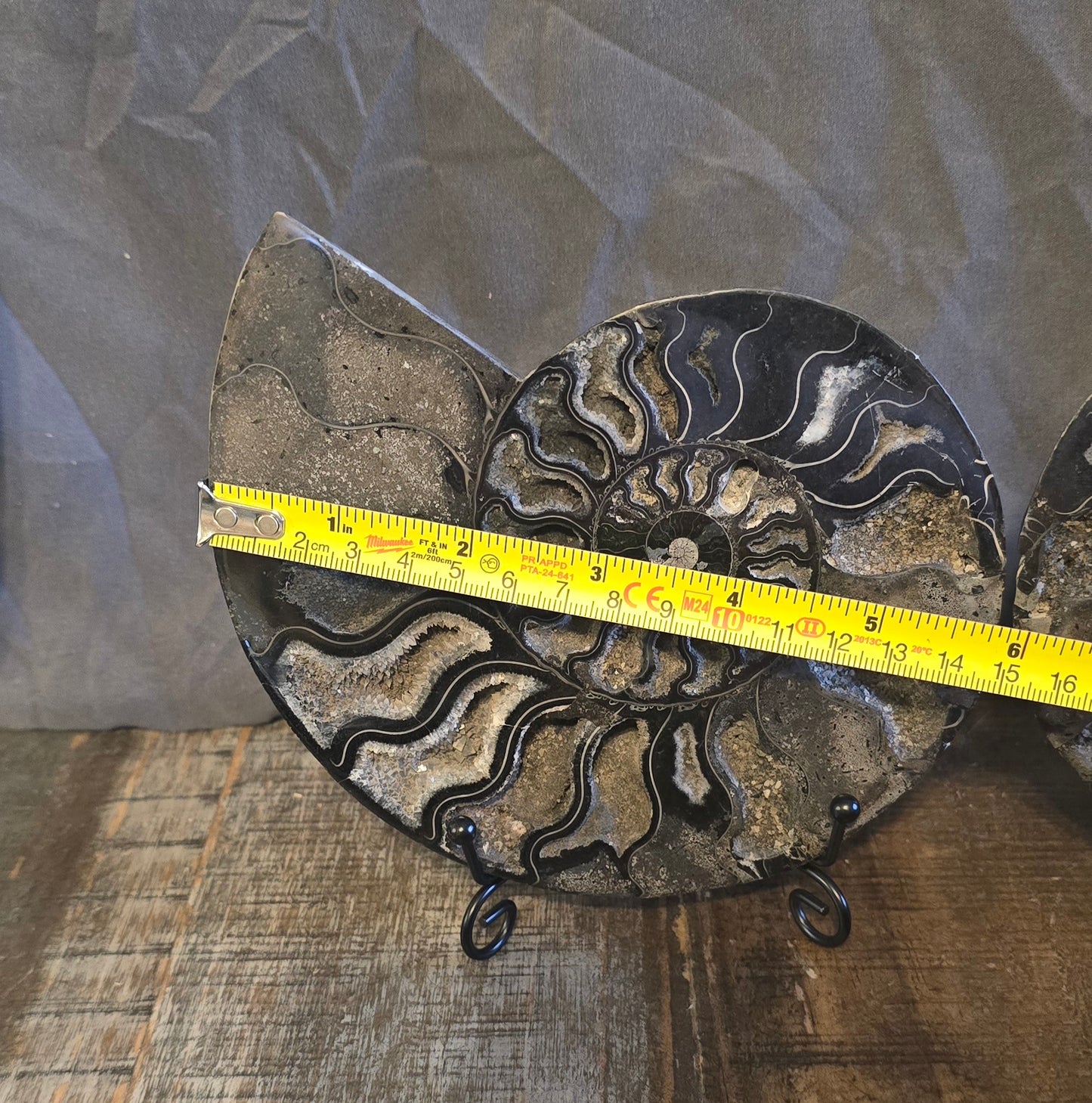 S0234 Black Ammonite Pair