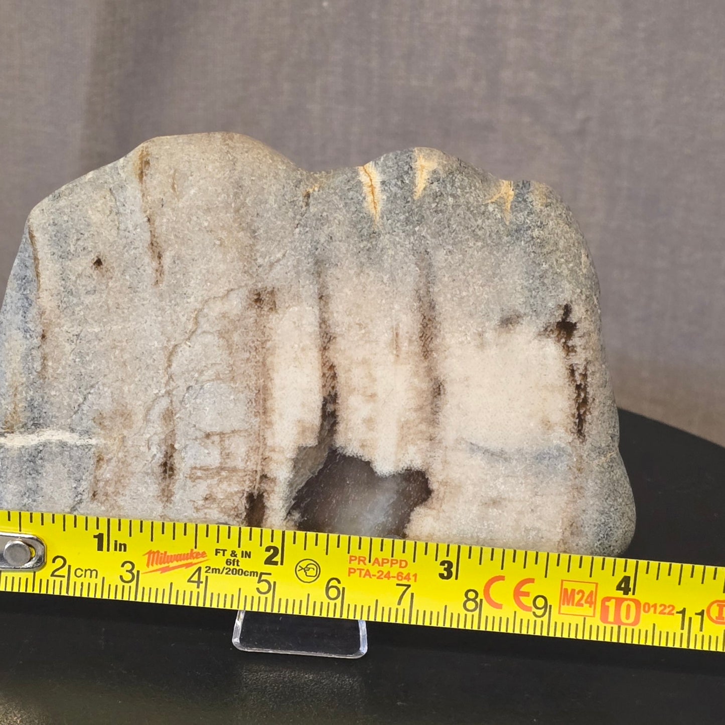 S0242 Black Petrified Wood Slab