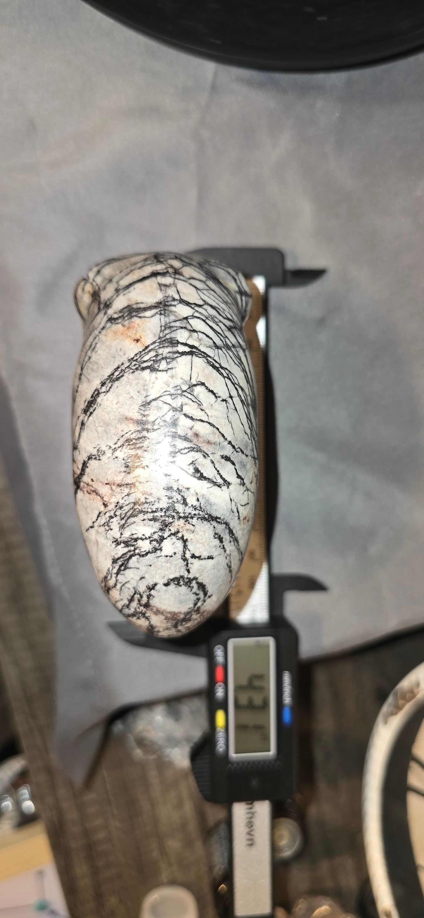 Picasso/Network Jasper Alien