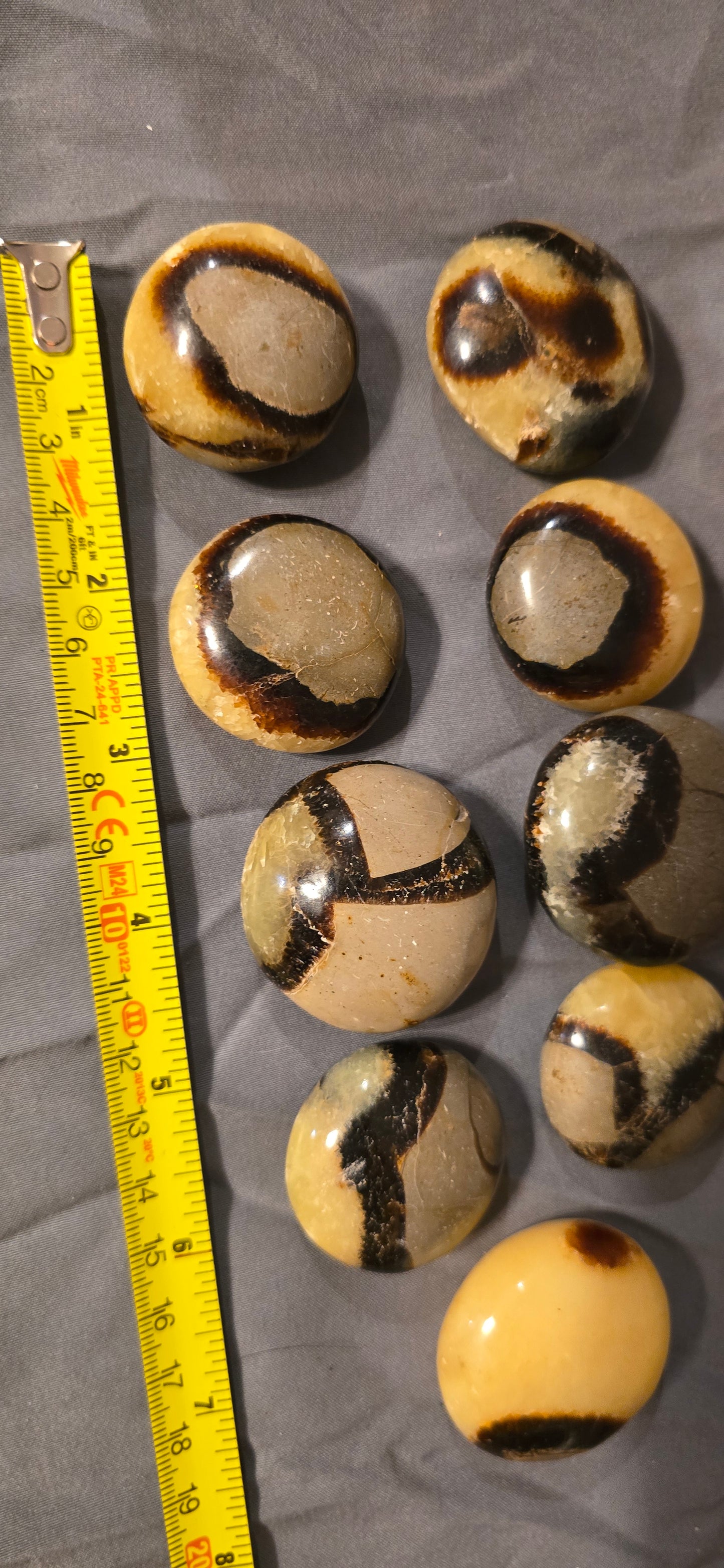 S0380 Septarian Palmstone