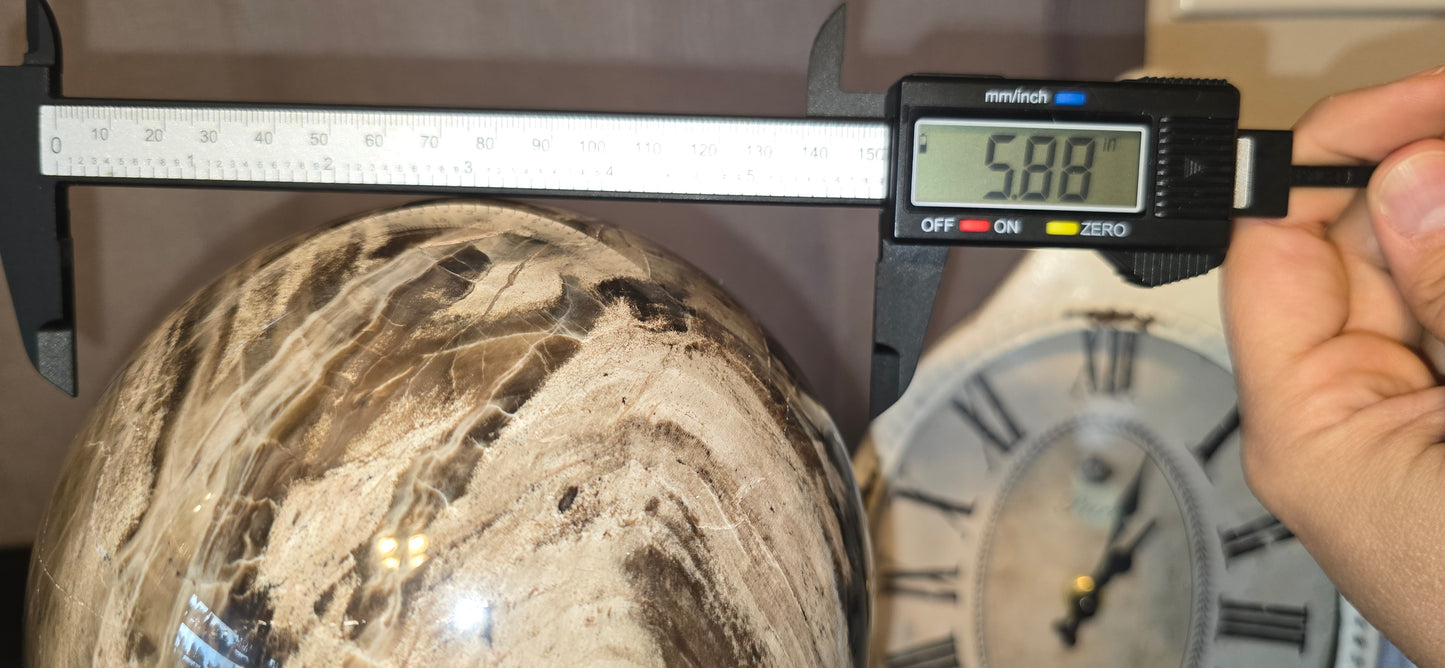 Petrified Wood Sphere & Stand