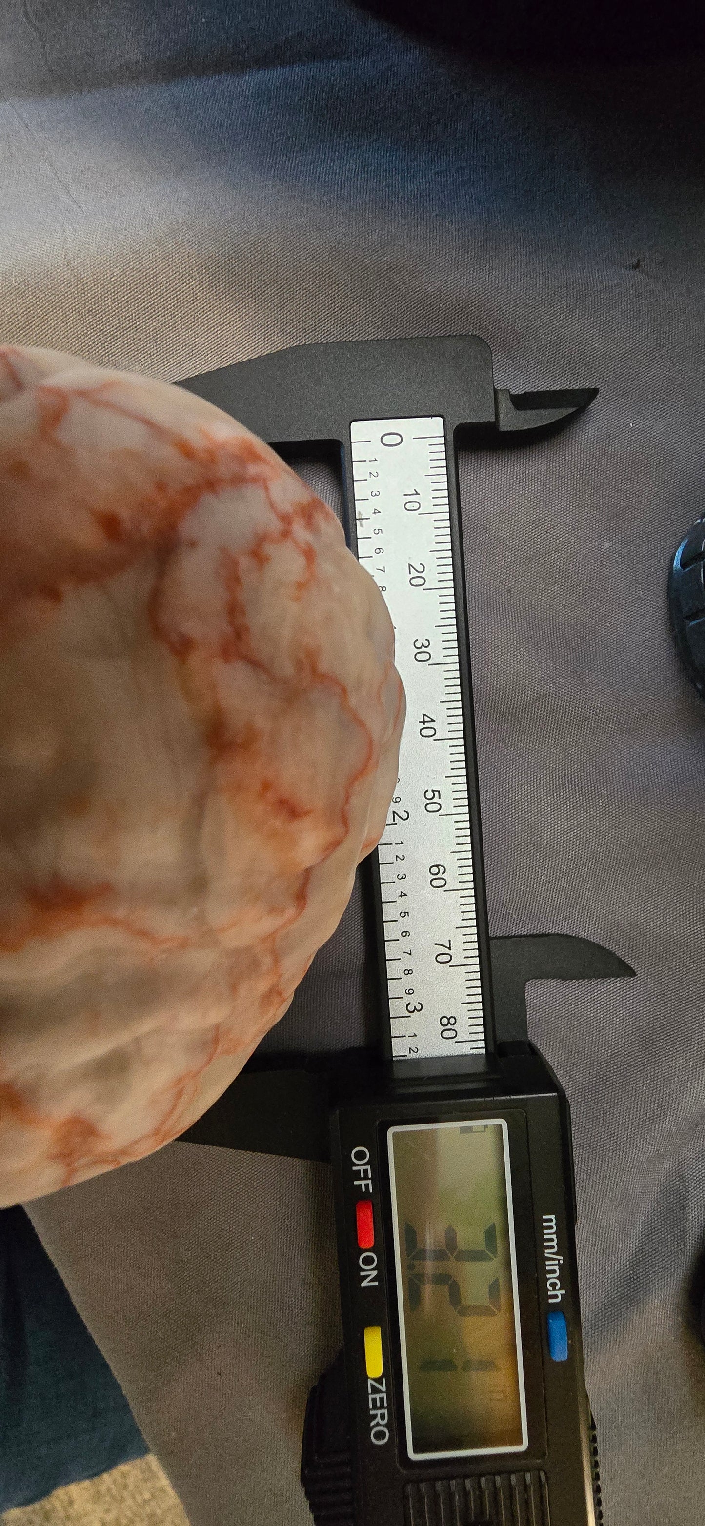 Red Vein Jasper LG Brain