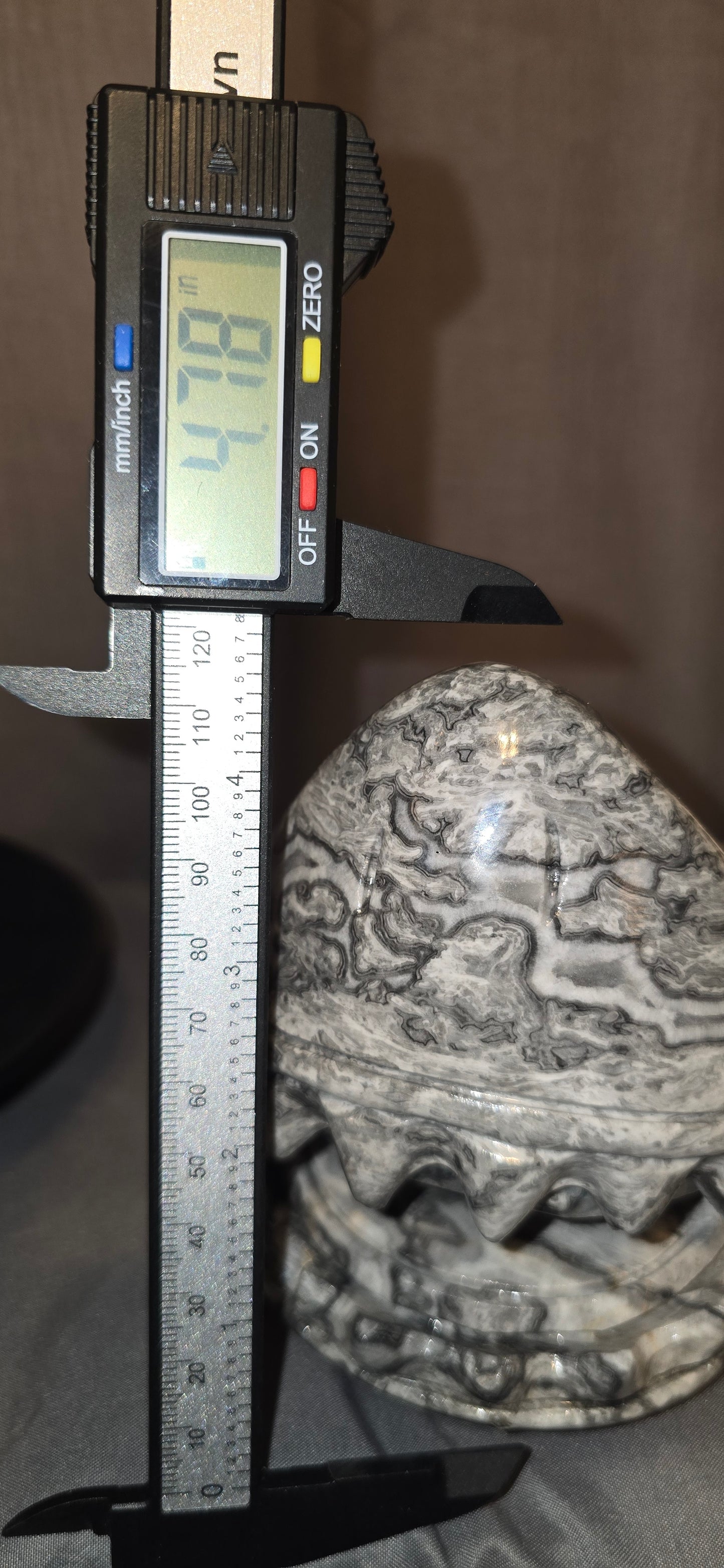 Picasso Jasper Shark