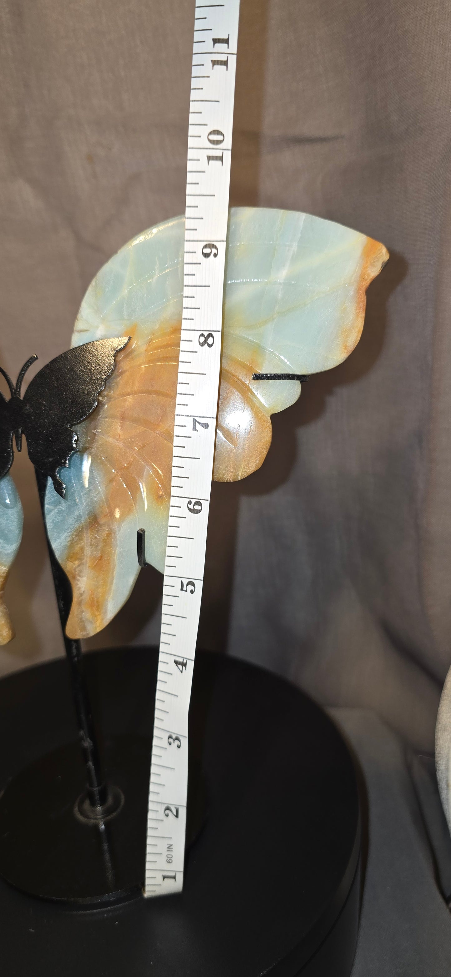 Caribbean Calcite GIANT Butterfly