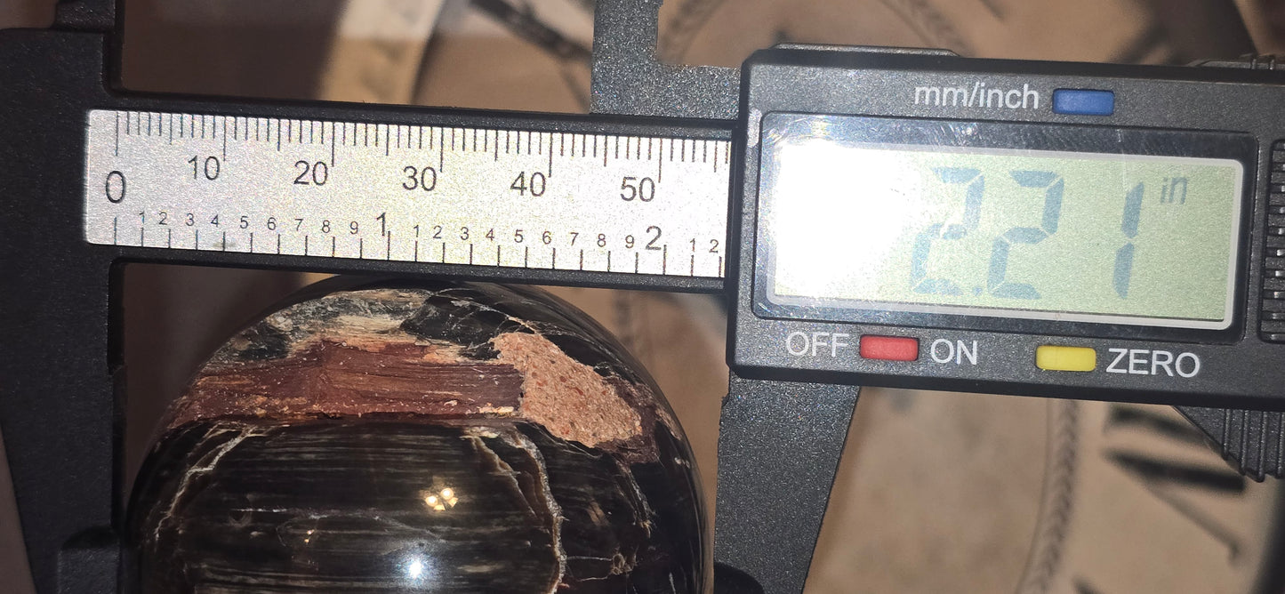 Petrified Wood Sphere