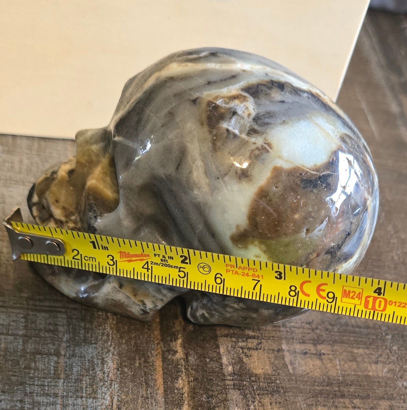 S0124 Caribbean Calcite Skull #1 / #2
