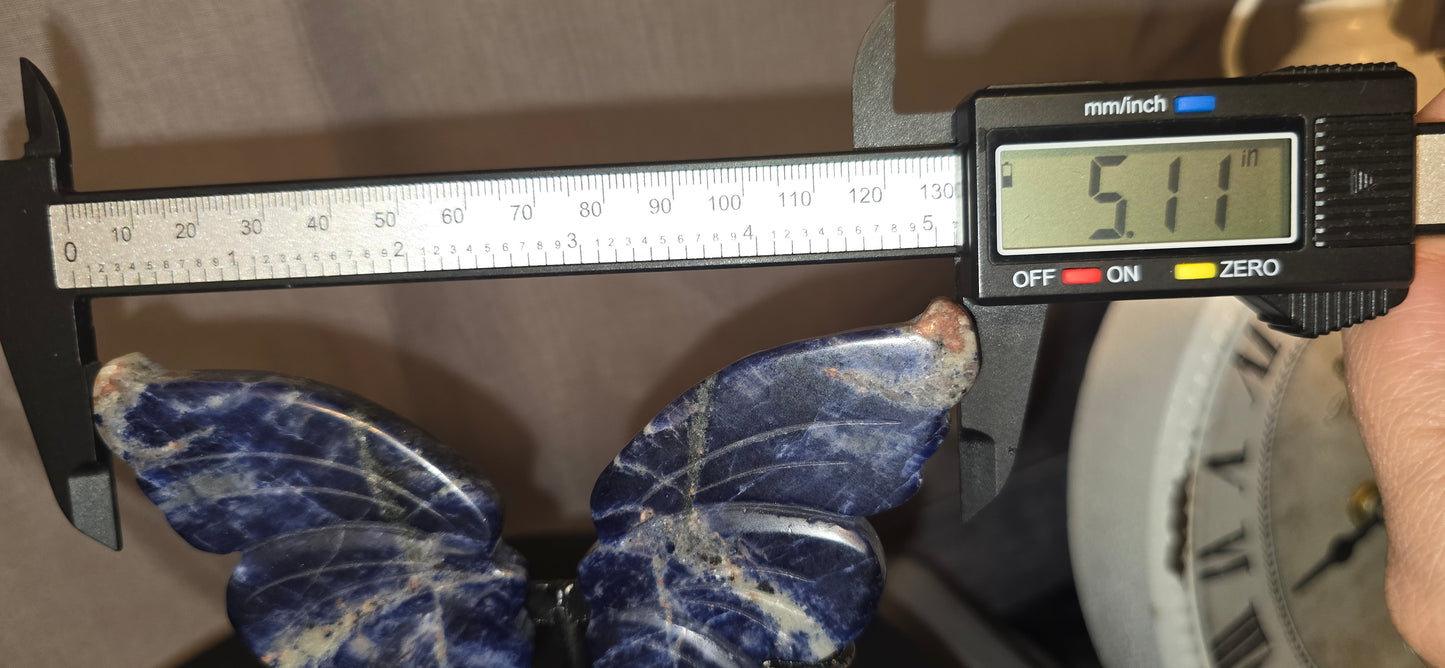 Sodalite Wings