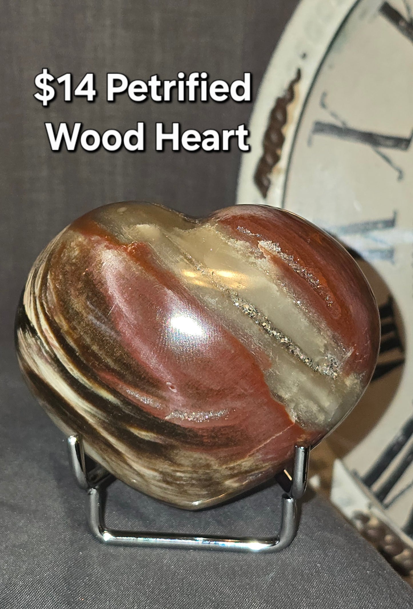 Petrified Wood Heart