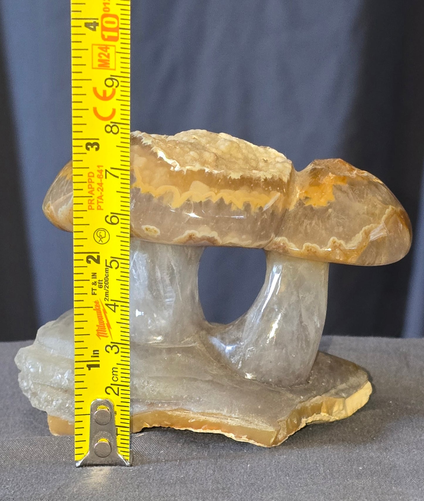 S0448 Agate Mushroom