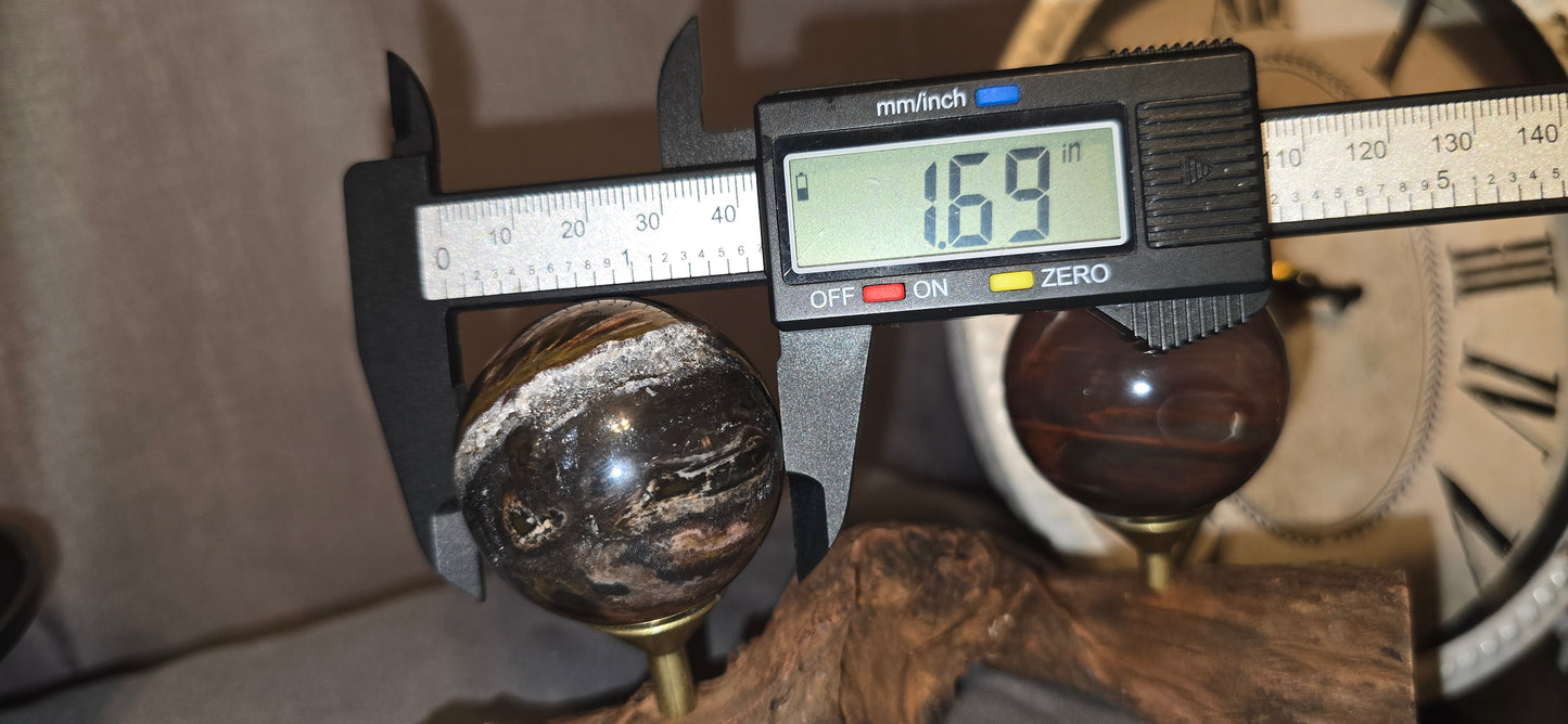 Petrified Wood Sphere