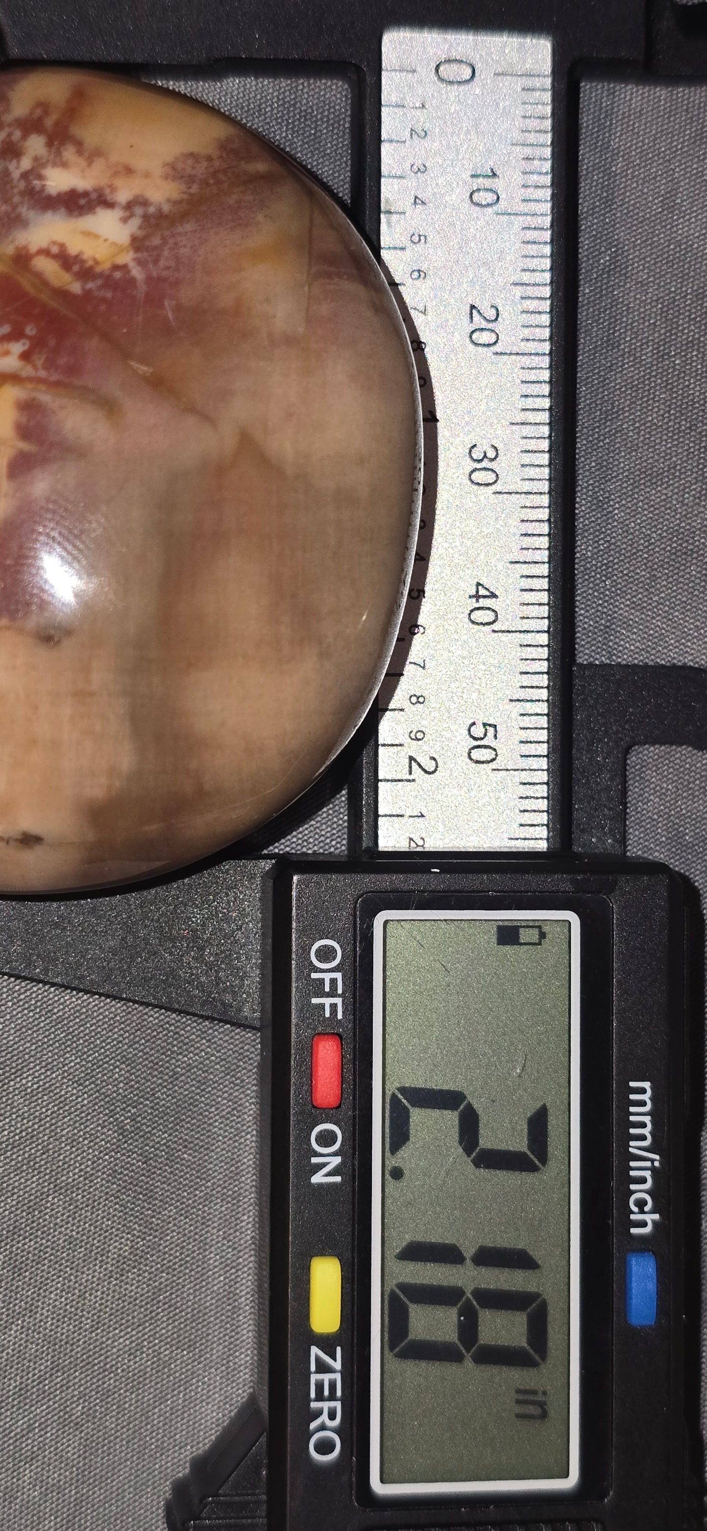 Petrified Wood Palmstone