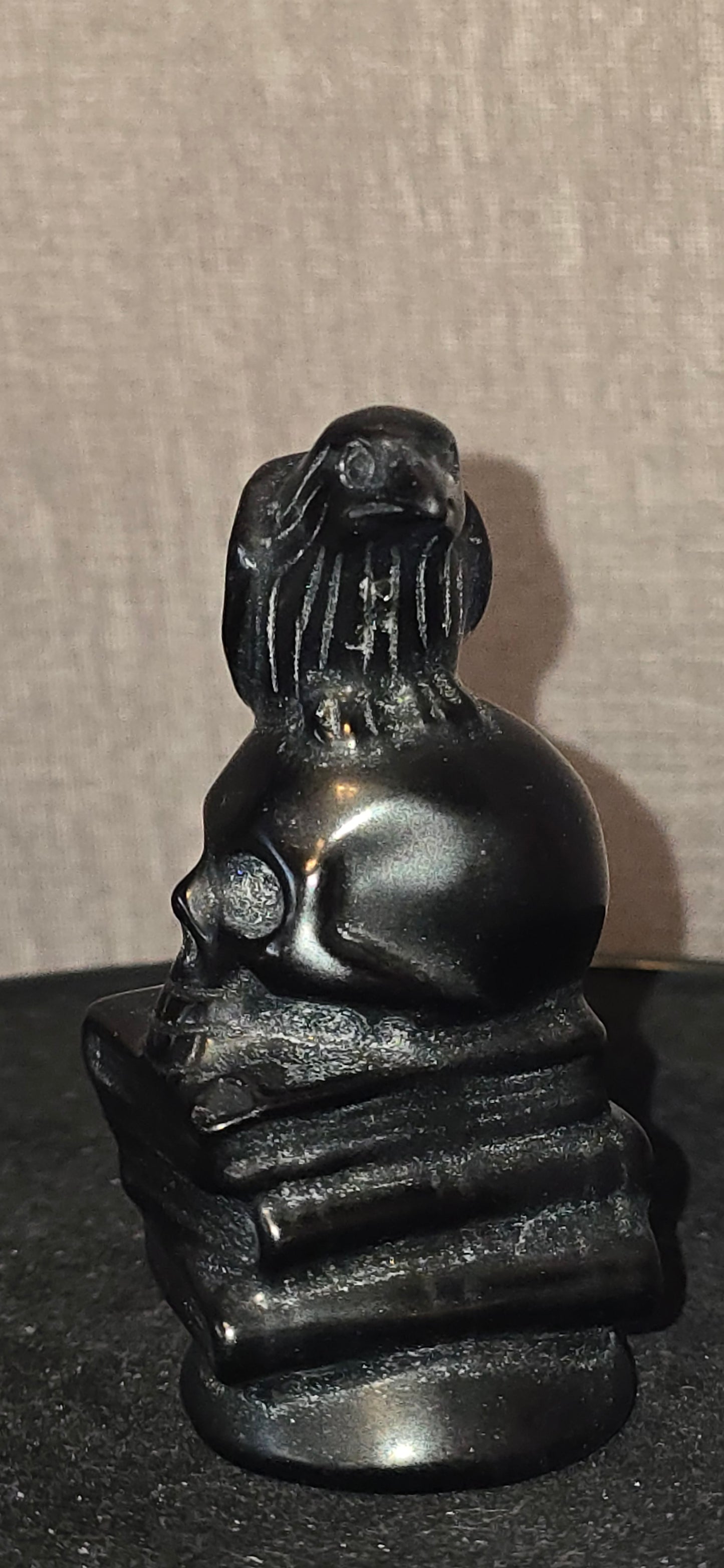 Obsidian Skull/Raven