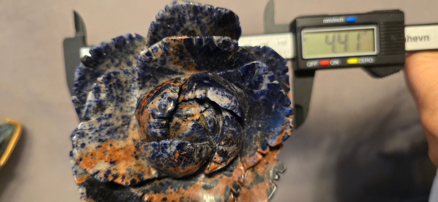 Sodalite Rose