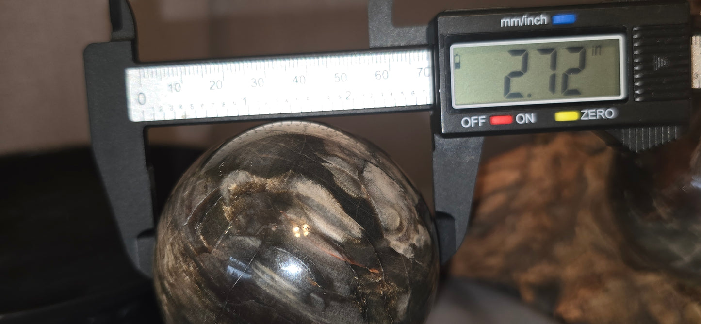 Petrified Wood Sphere