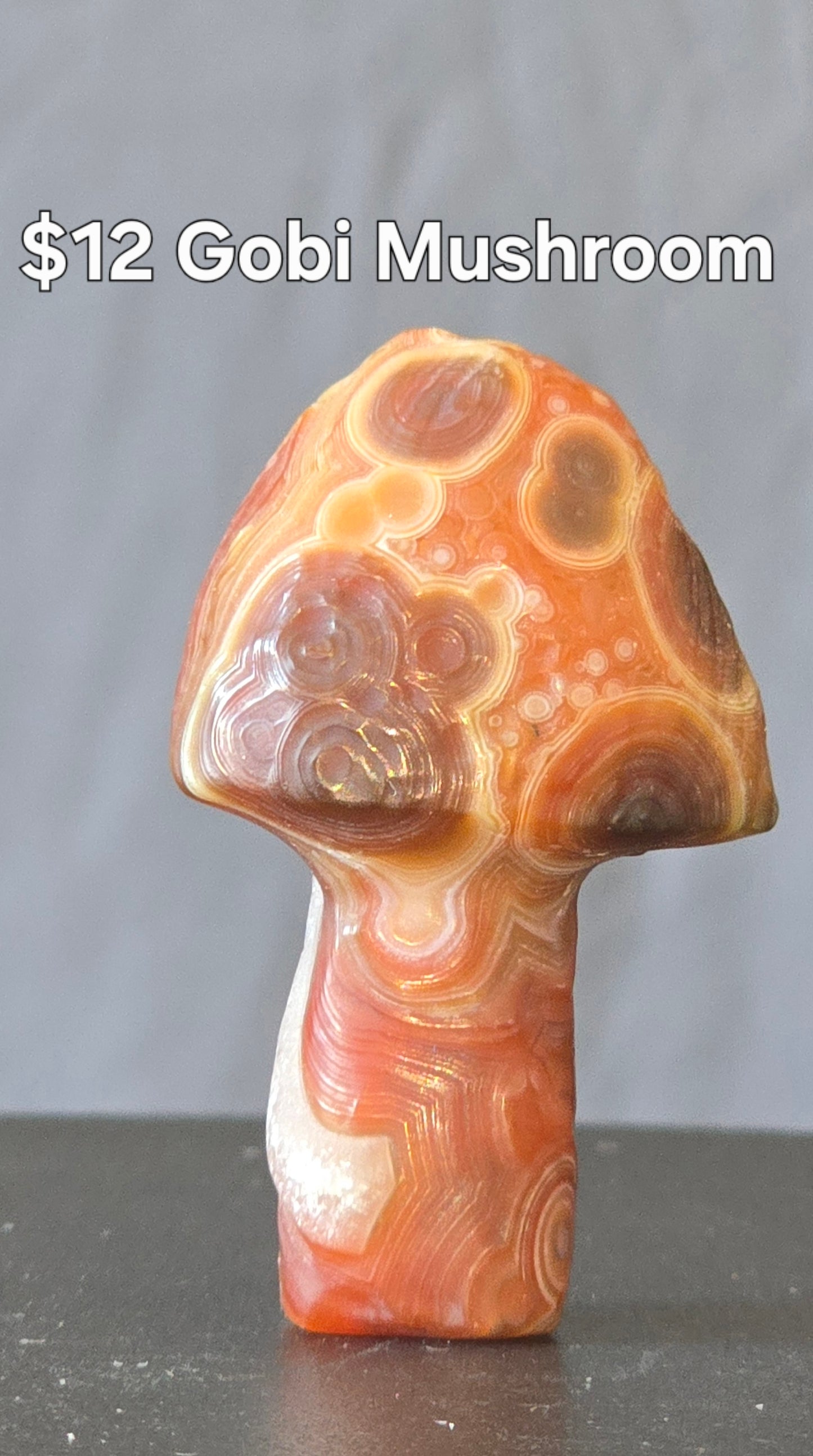 S0437 Gobi Agate Mushroom