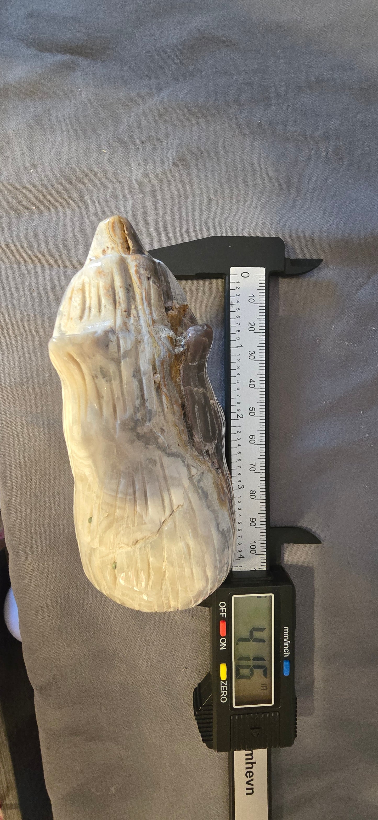 White Mexican Crazy Lace Bear