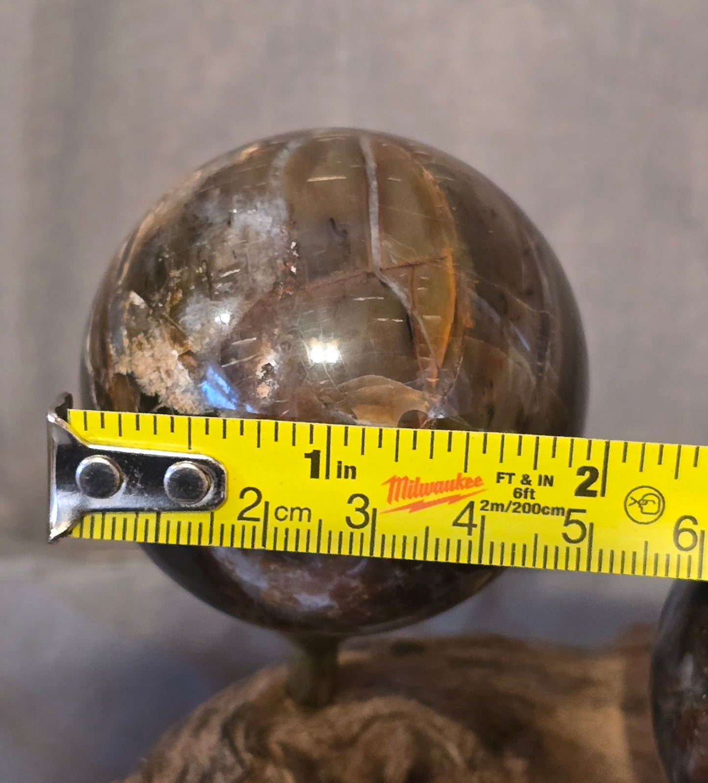 S0357 Petrified Wood Sphere