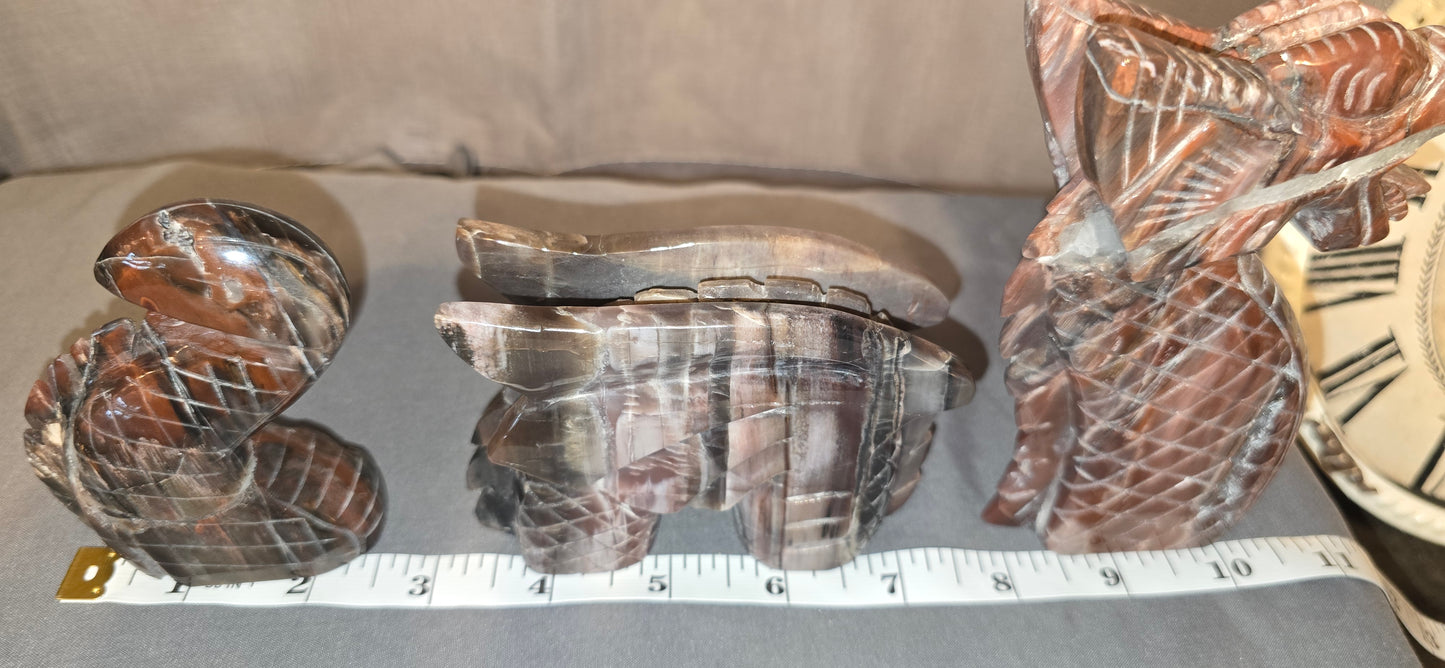 Petrified Wood 3pc Dragon