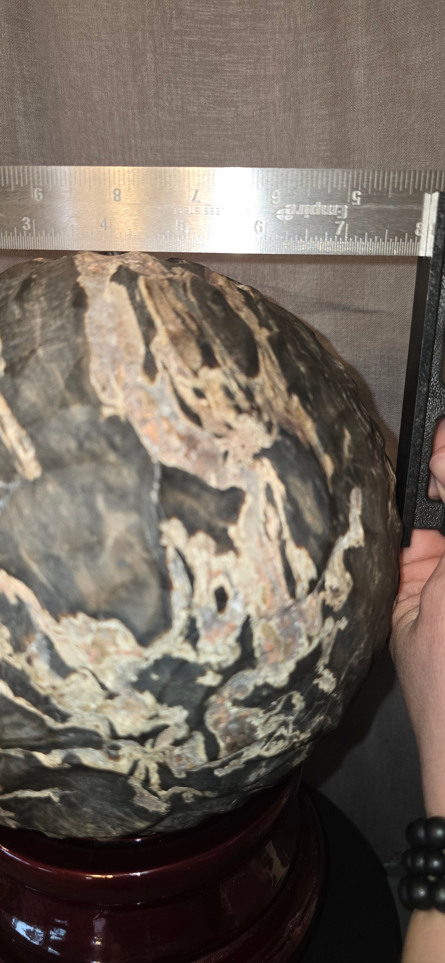 S0316 Petrified Wood Moon Sphere