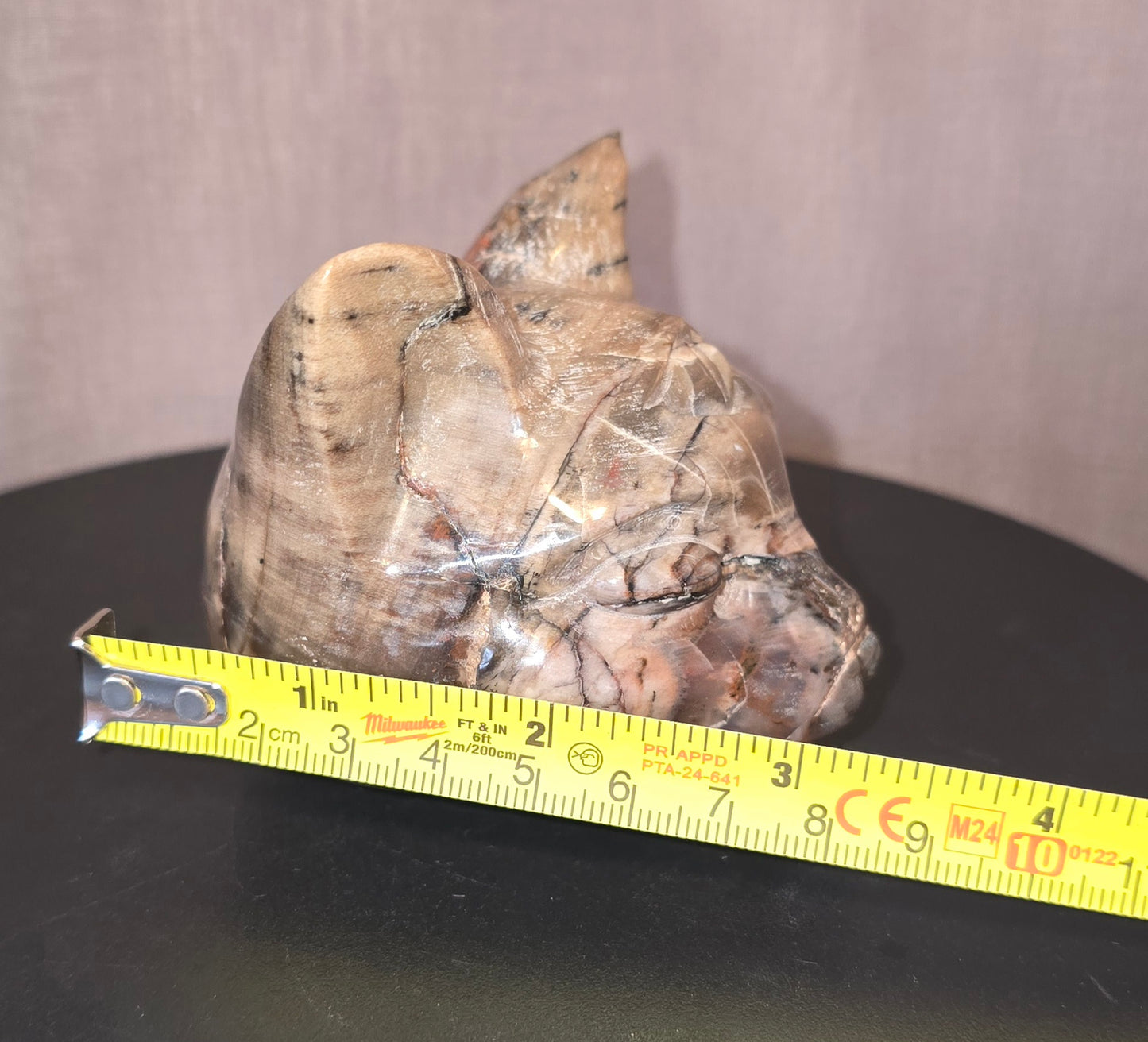 S0237 Petrified Wood Cat