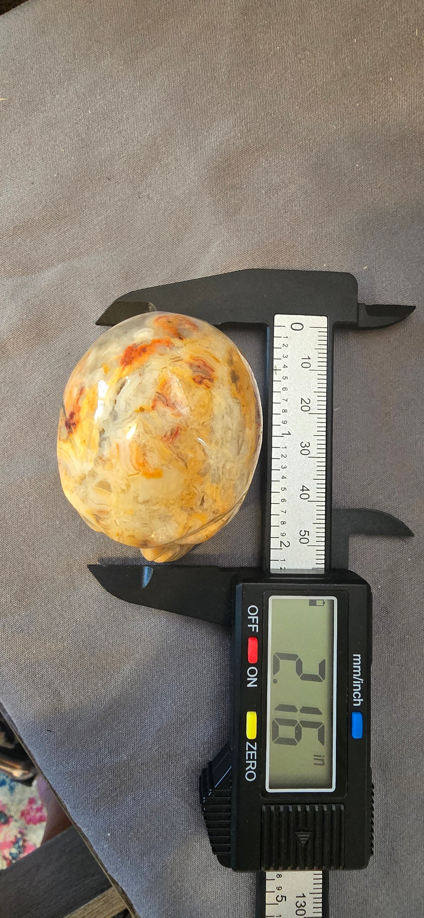 Mexican Crazy Lace Alien Head