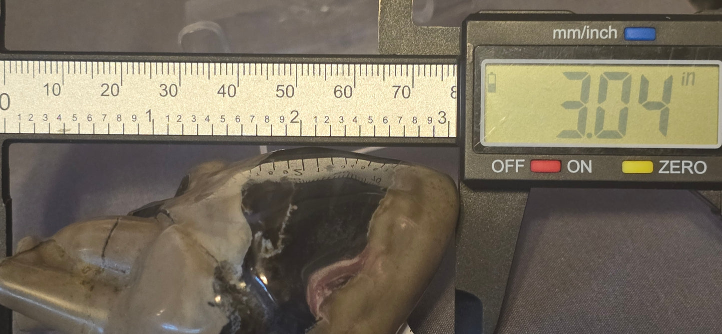 Volcanic Agate Anatomical Heart