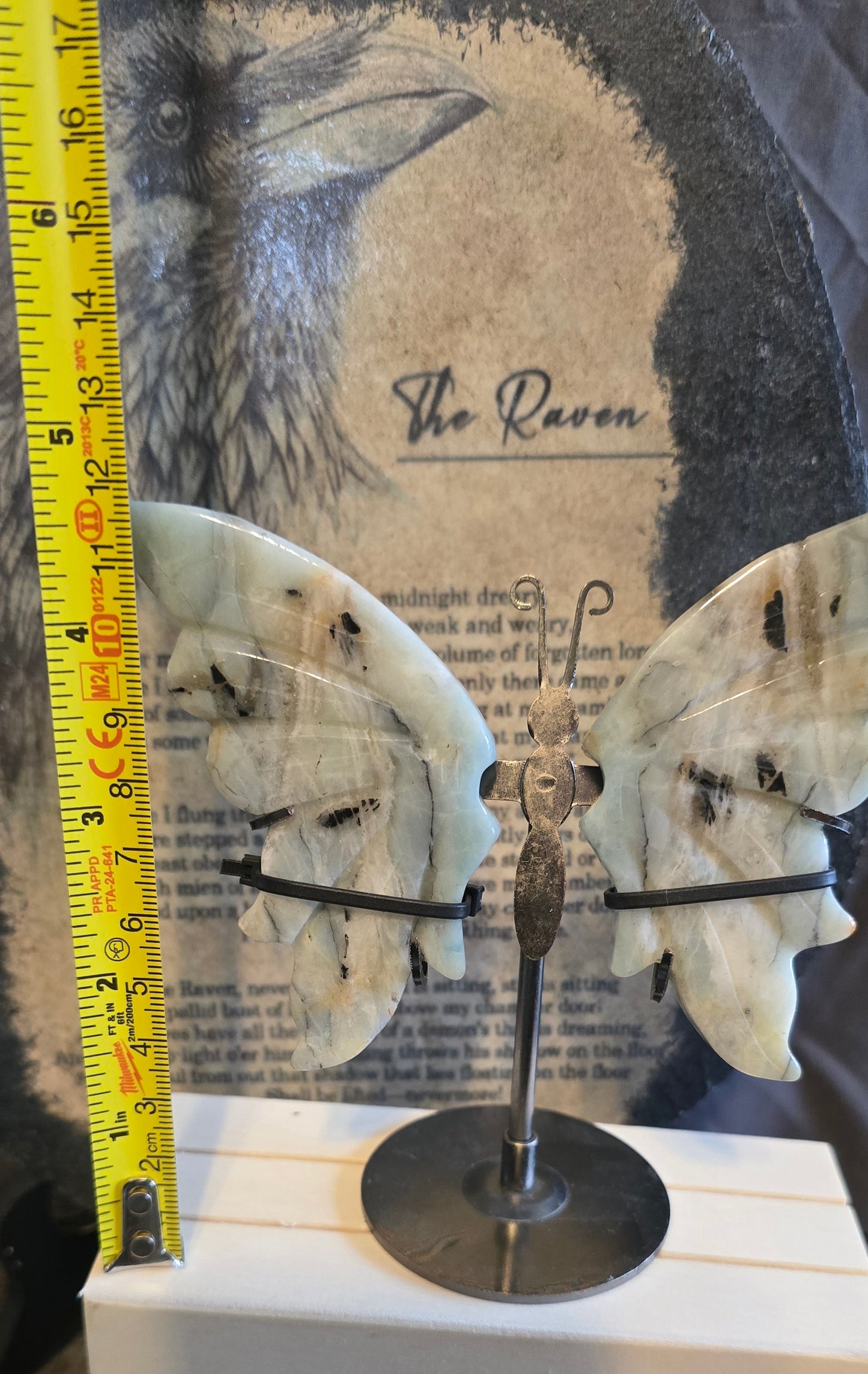 S0116 Caribbean Calcite Butterfly