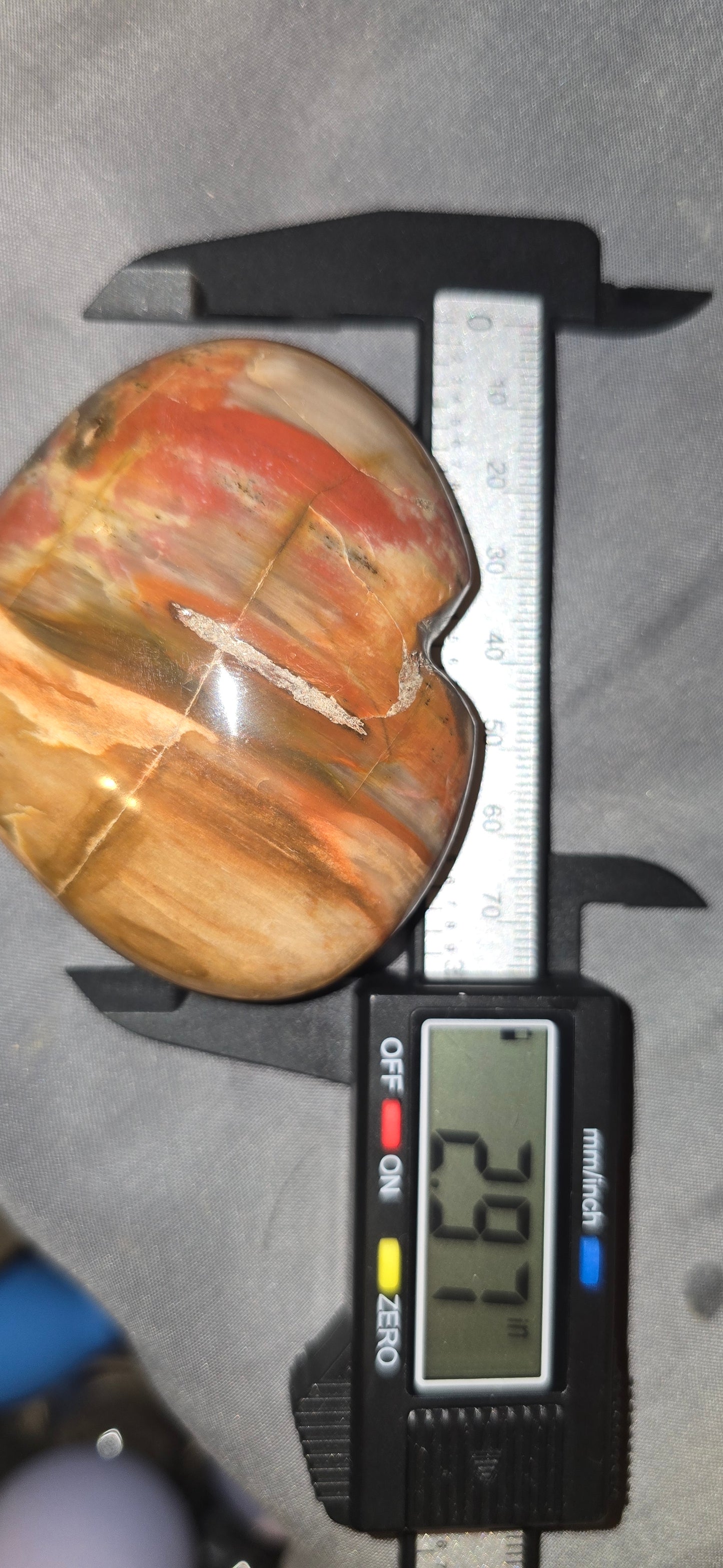 Petrified Wood Heart