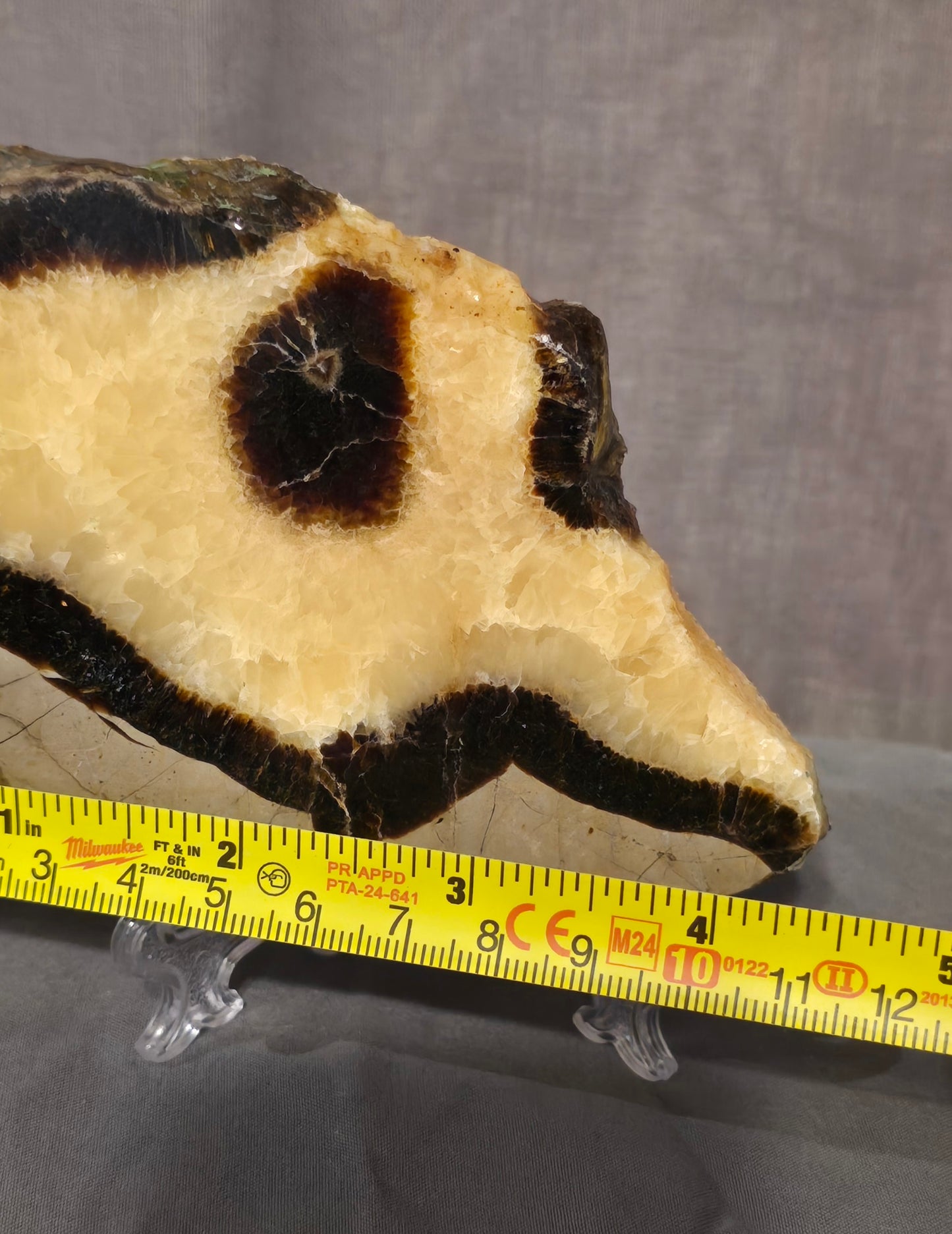 S0375 Septarian Slab