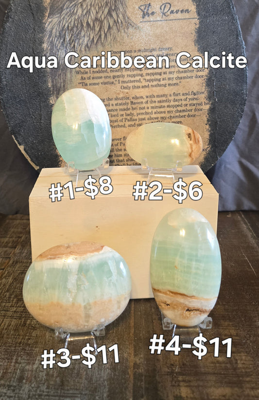 S0139 Caribbean Calcite Palmstone #3 & #4