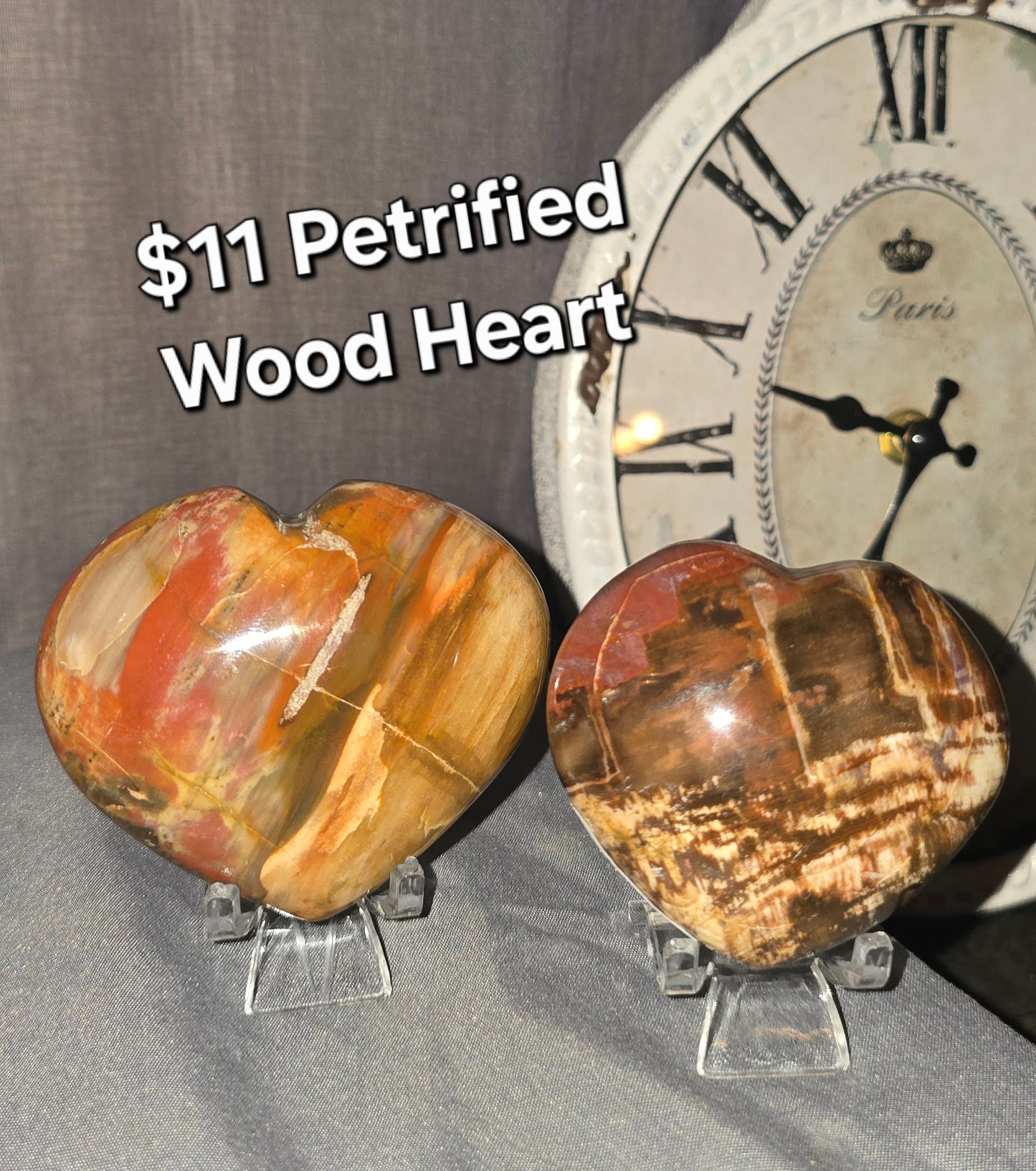 Petrified Wood Heart