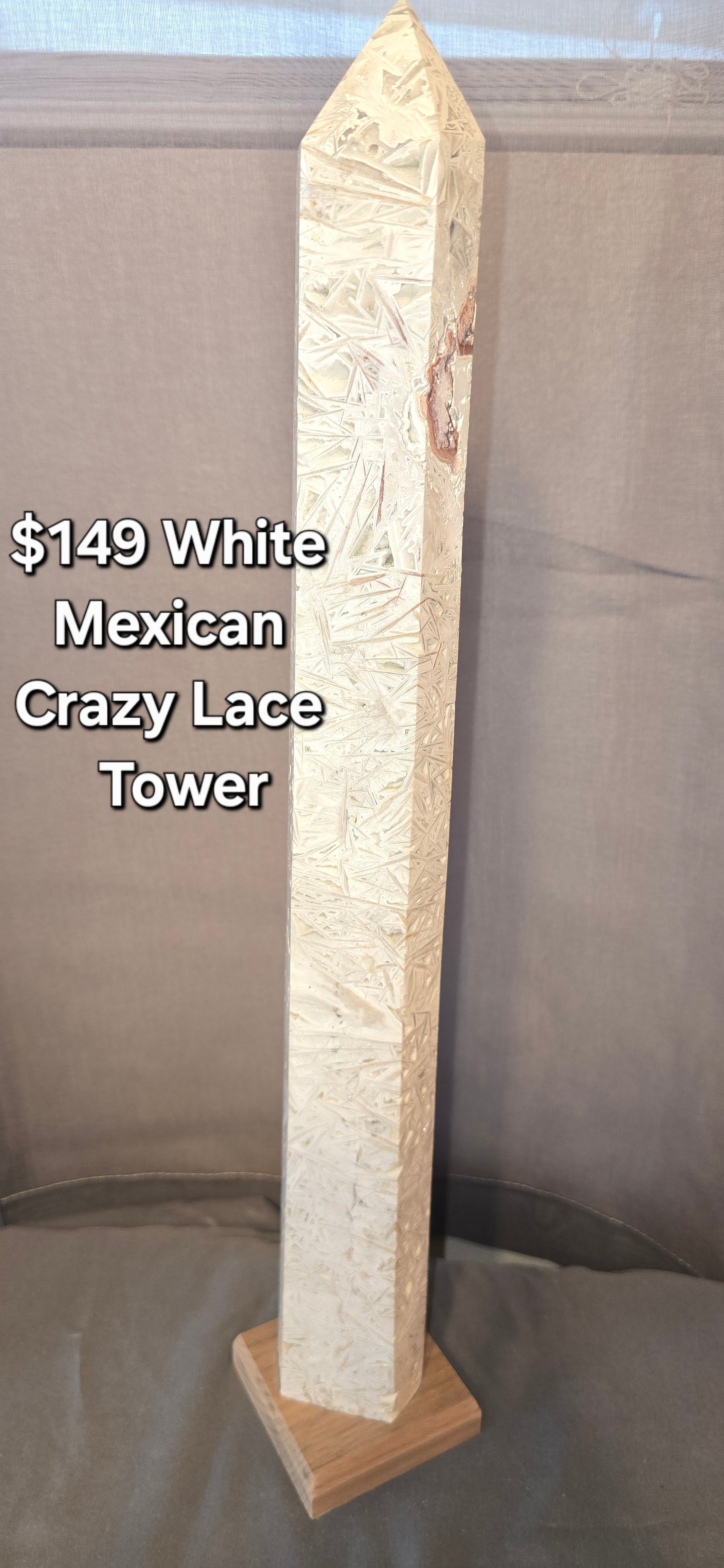 White Mexican Crazy Lace Giant Tower & Custom Stand