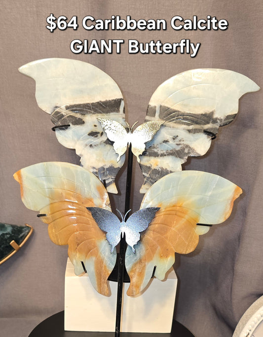 Caribbean Calcite GIANT Butterfly